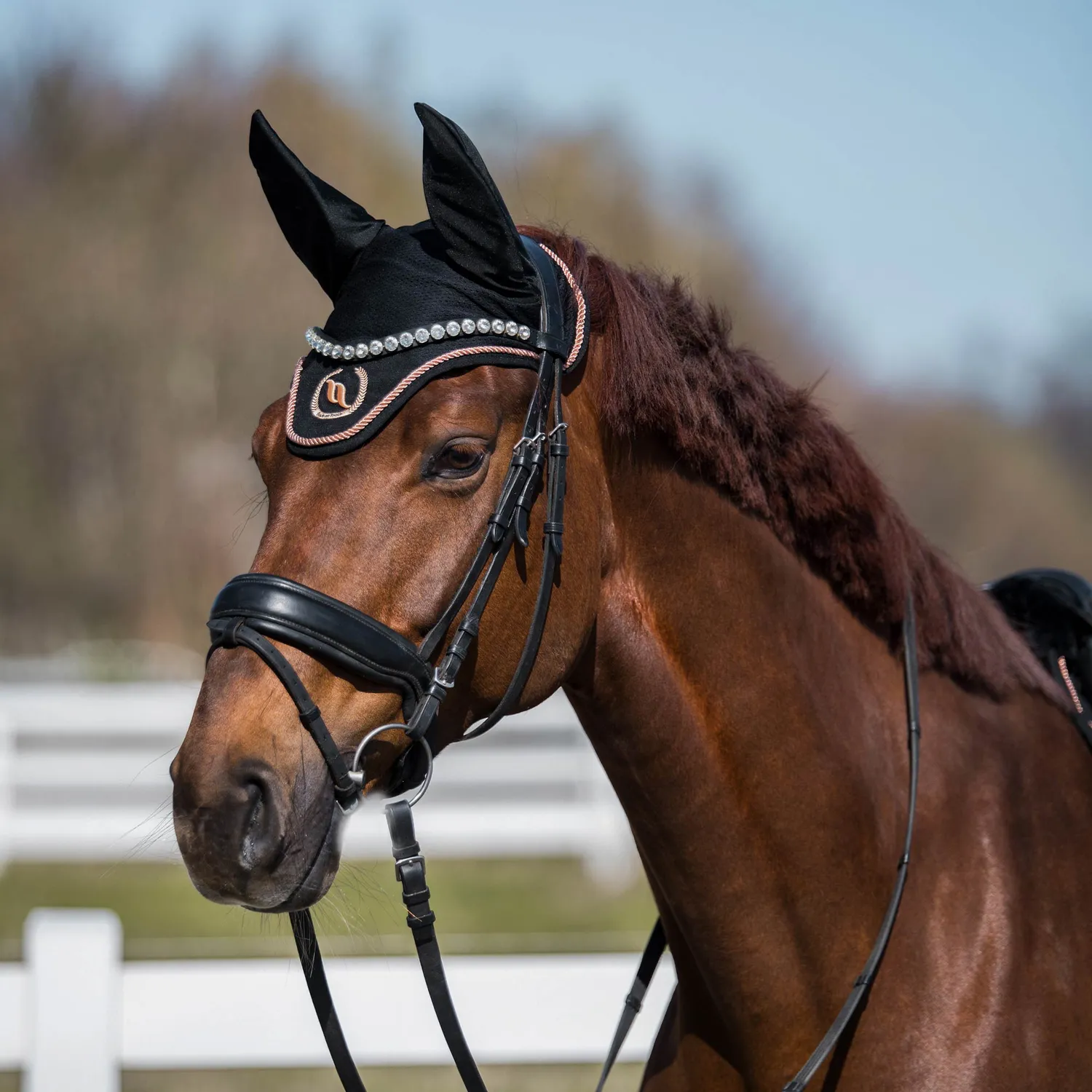 Back on Track Haze Collection bonnet cheval noir anti-mouches