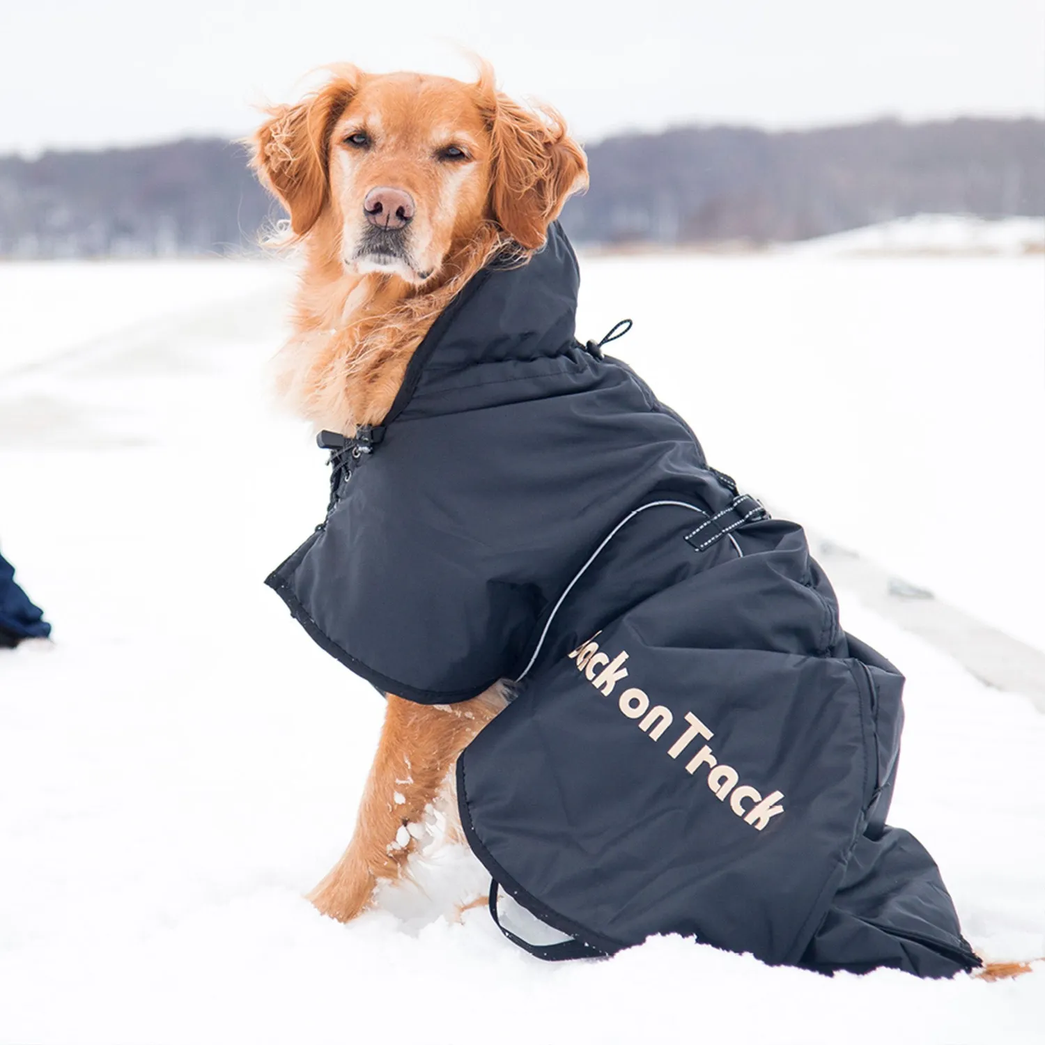 Back on Track Standard manteau chien imperméable réfléchissant