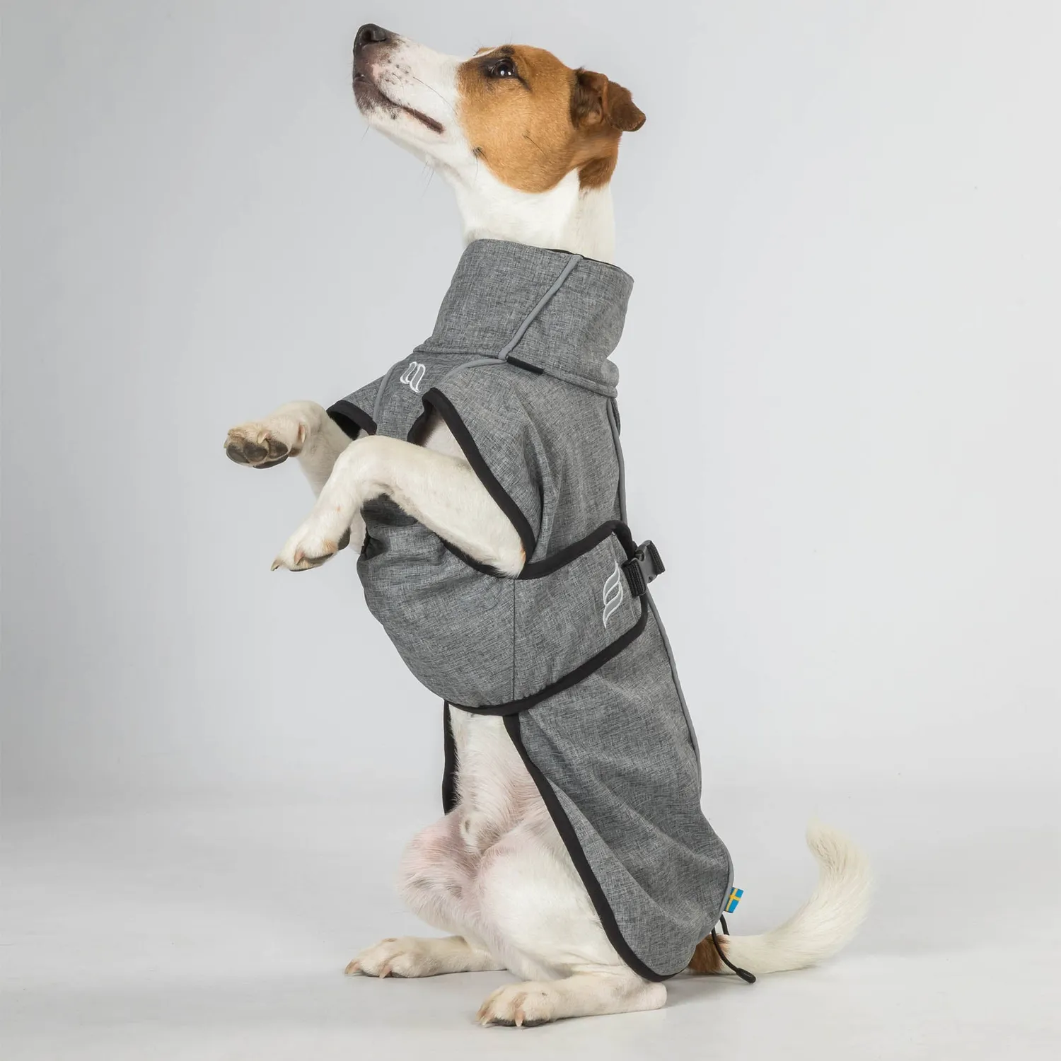 Back on Track Bark manteau chien noir réfléchissant softshell