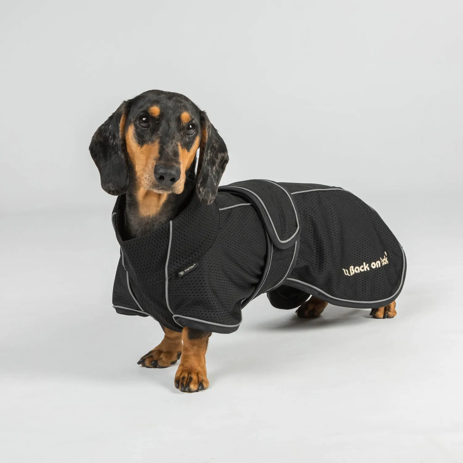 Back on Track Buddy 2.0 manteau chien noir 50 cm mesh