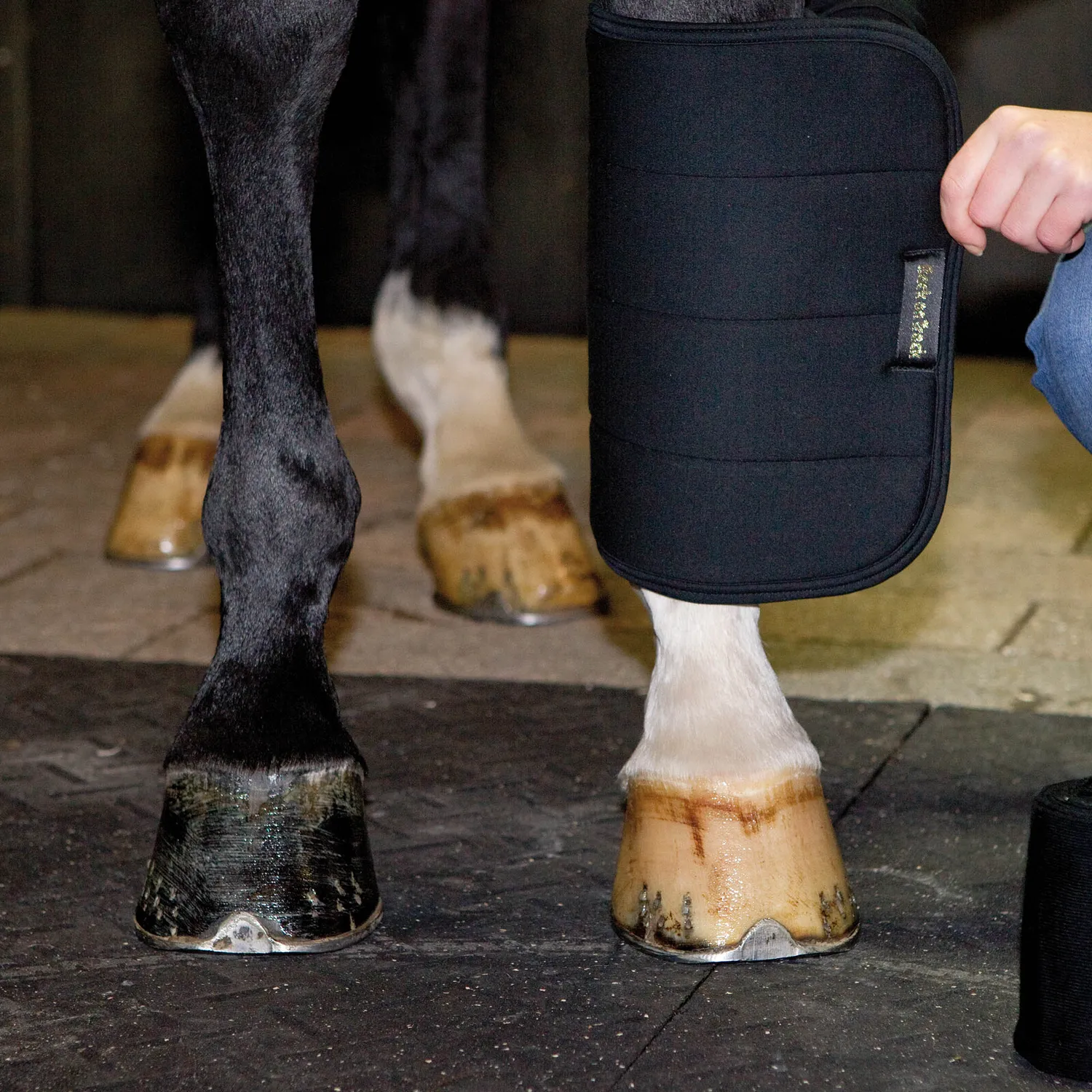 Back on Track No Bow bandes de repos cheval noir 36x45