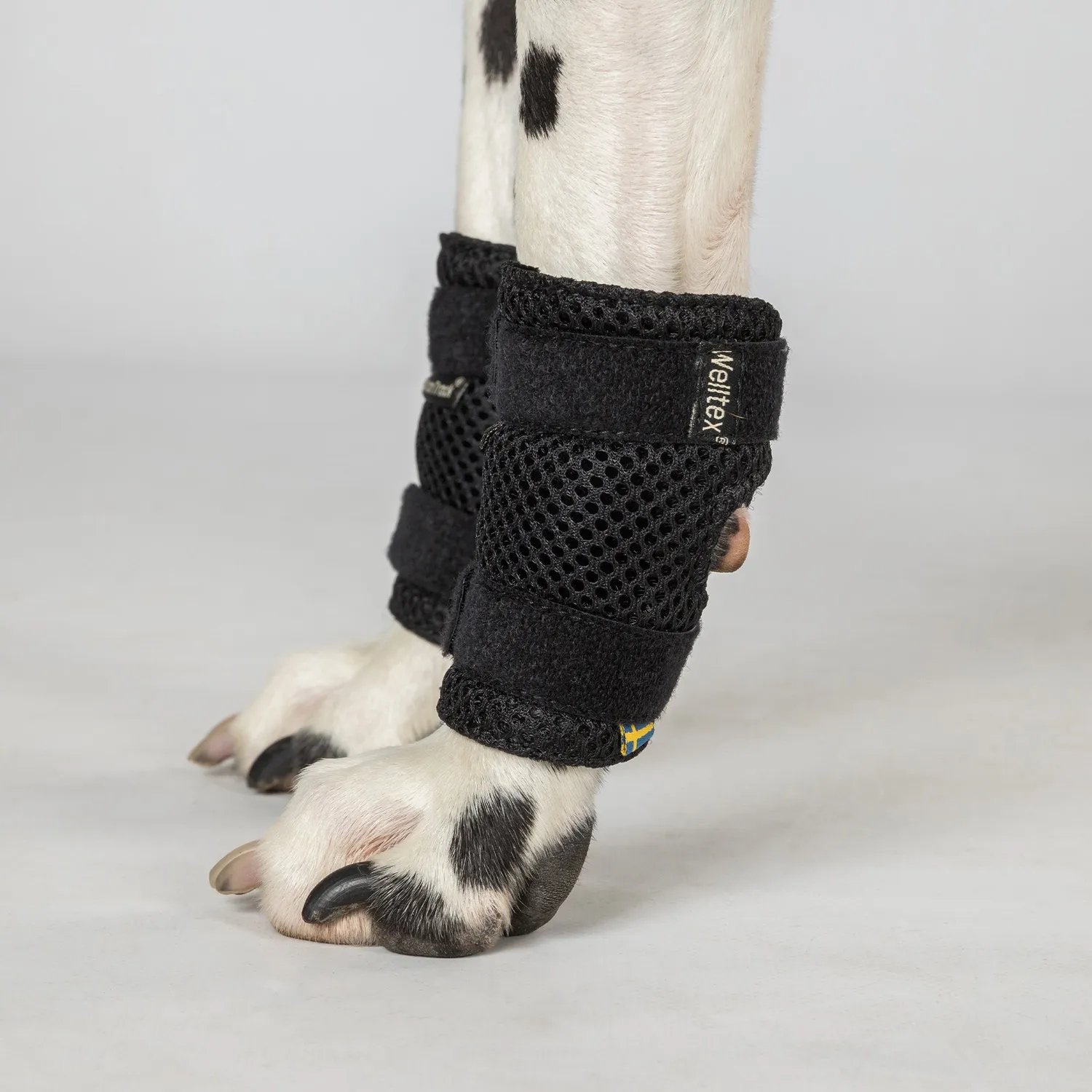 Back on Track Milo attelle patte chien noir respirante
