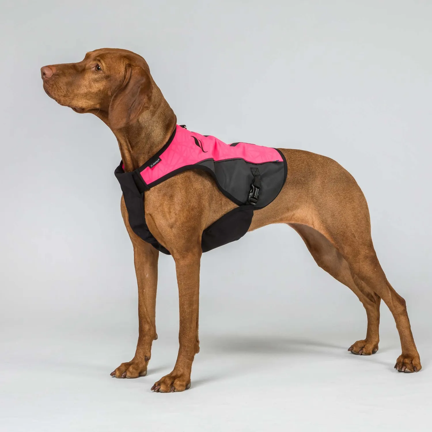 Back on Track TRAKK 2.0 gilet chien chasse orange M réfléchissant