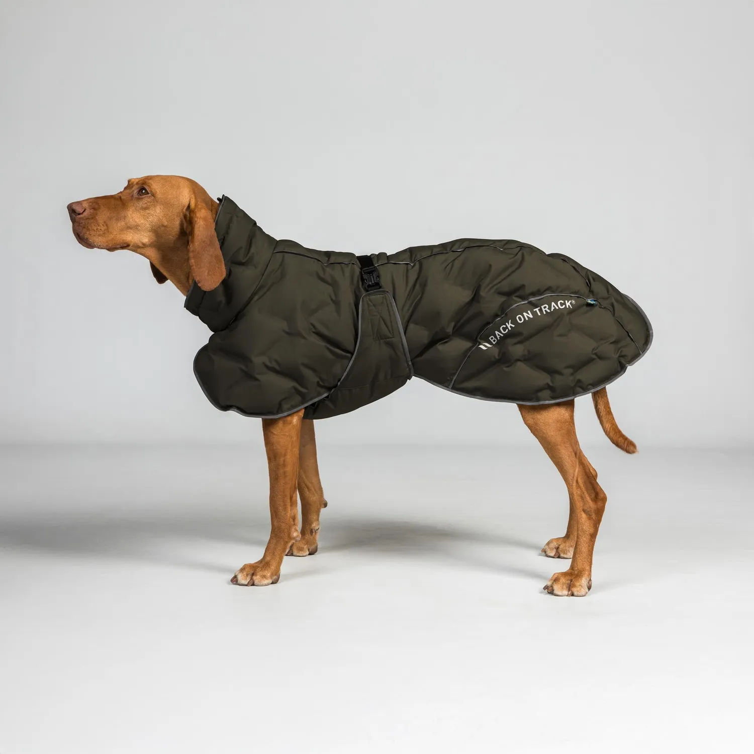 Back on Track Bay manteau chien Thermique vert 50 imperméable