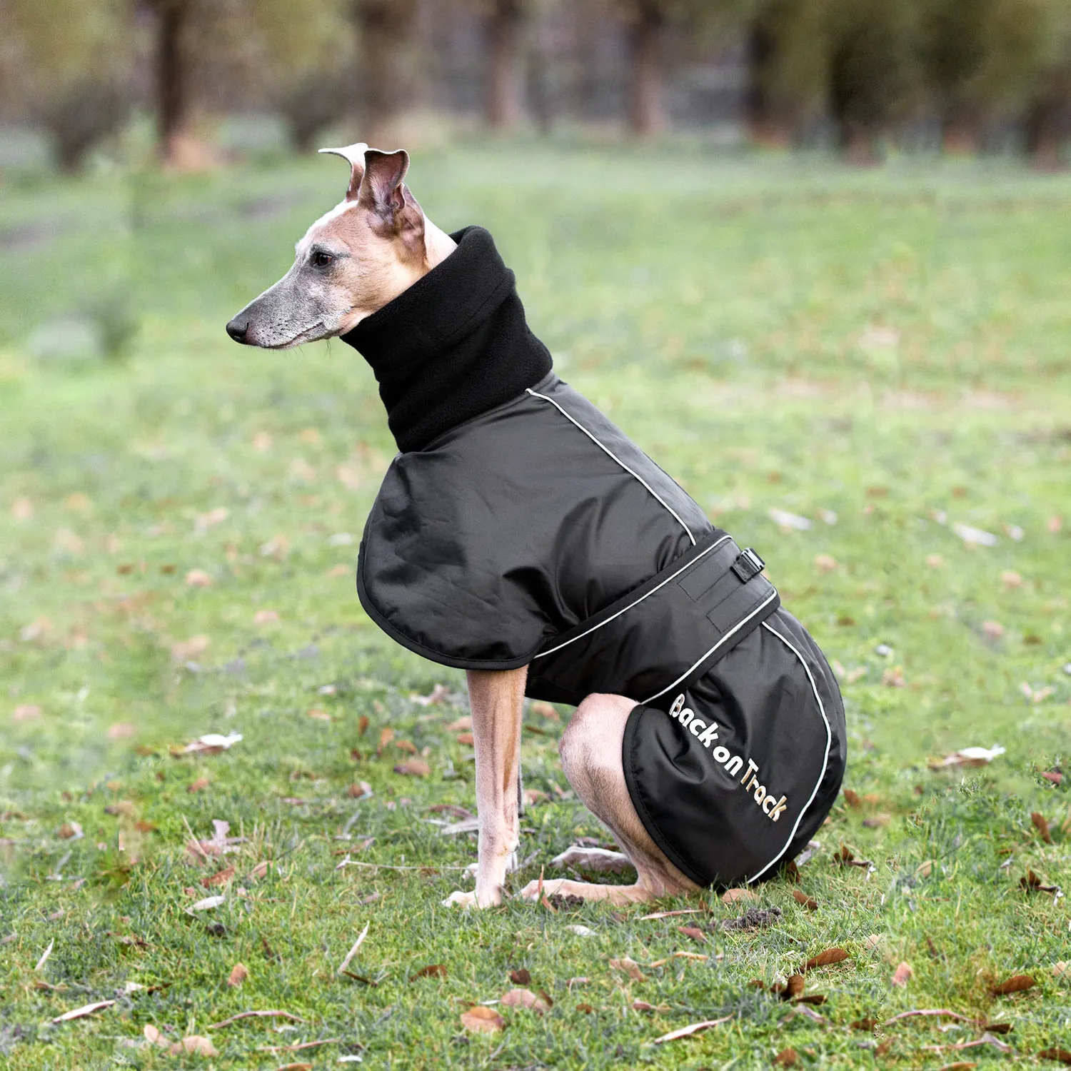 Back on Track Whippet manteau chien lévrier noir 45 cm