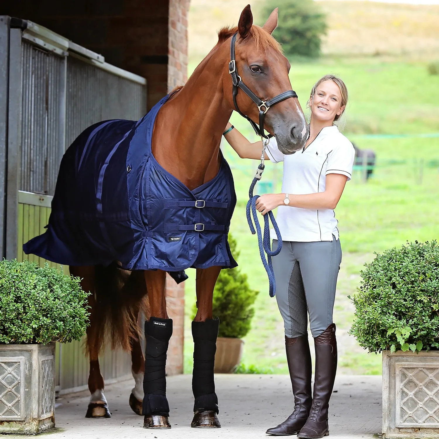 Back on Track Scandic PK Pads sous-bandes cheval noir 40x40 cm infrarouge