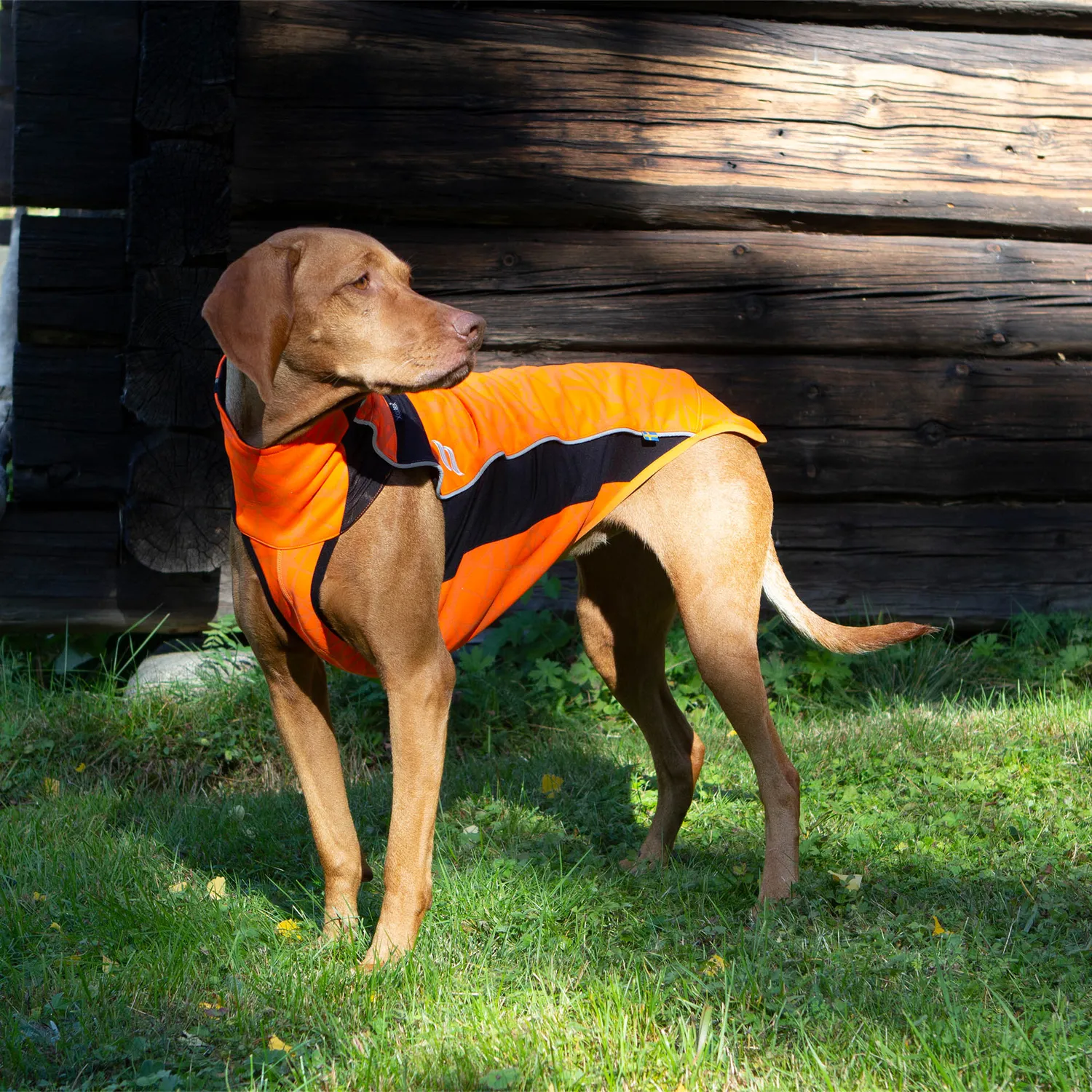 Back on Track Eddie pull pour chien orange réfléchissant
