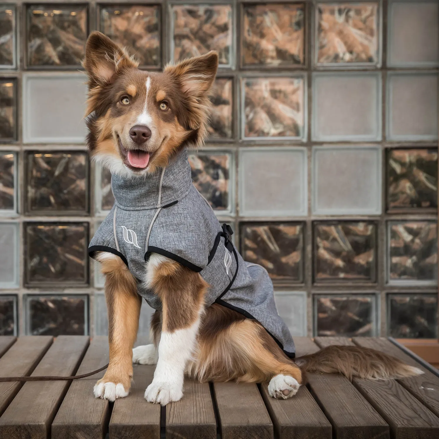 Back on Track Nella All Weather Dog Coat manteau chien noir