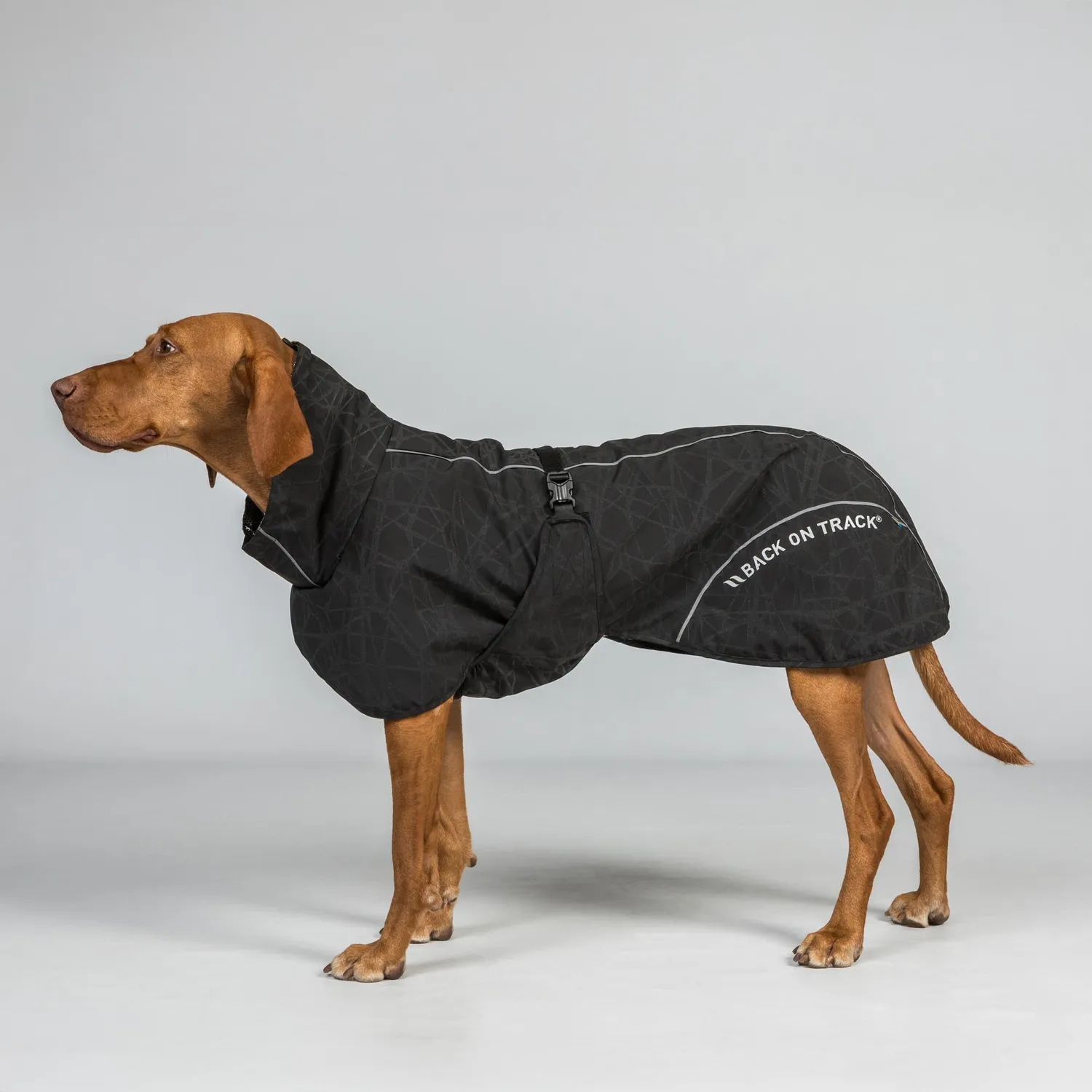 Back on Track Bay manteau pluie chien queue basse imperméable