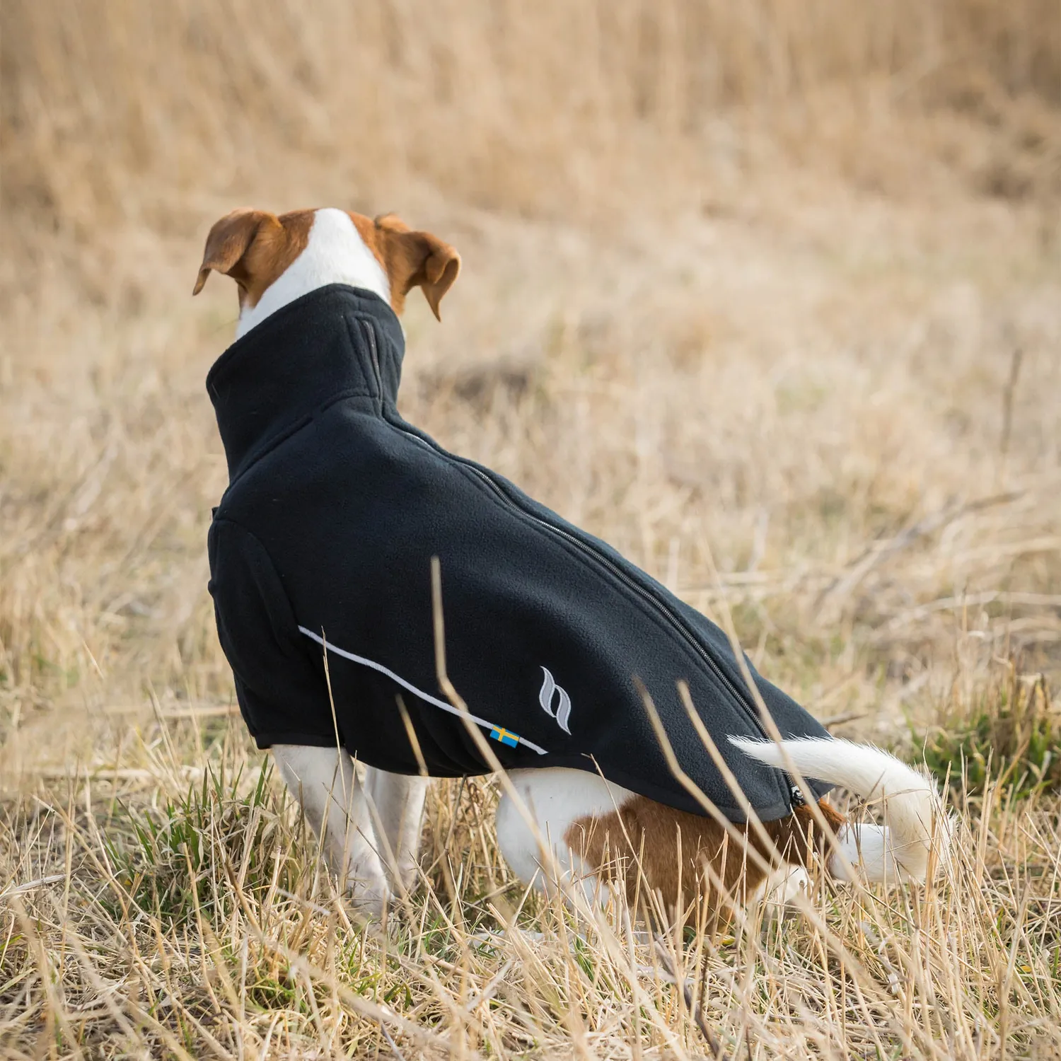 Back on Track Cassie Manteau chien polaire noir