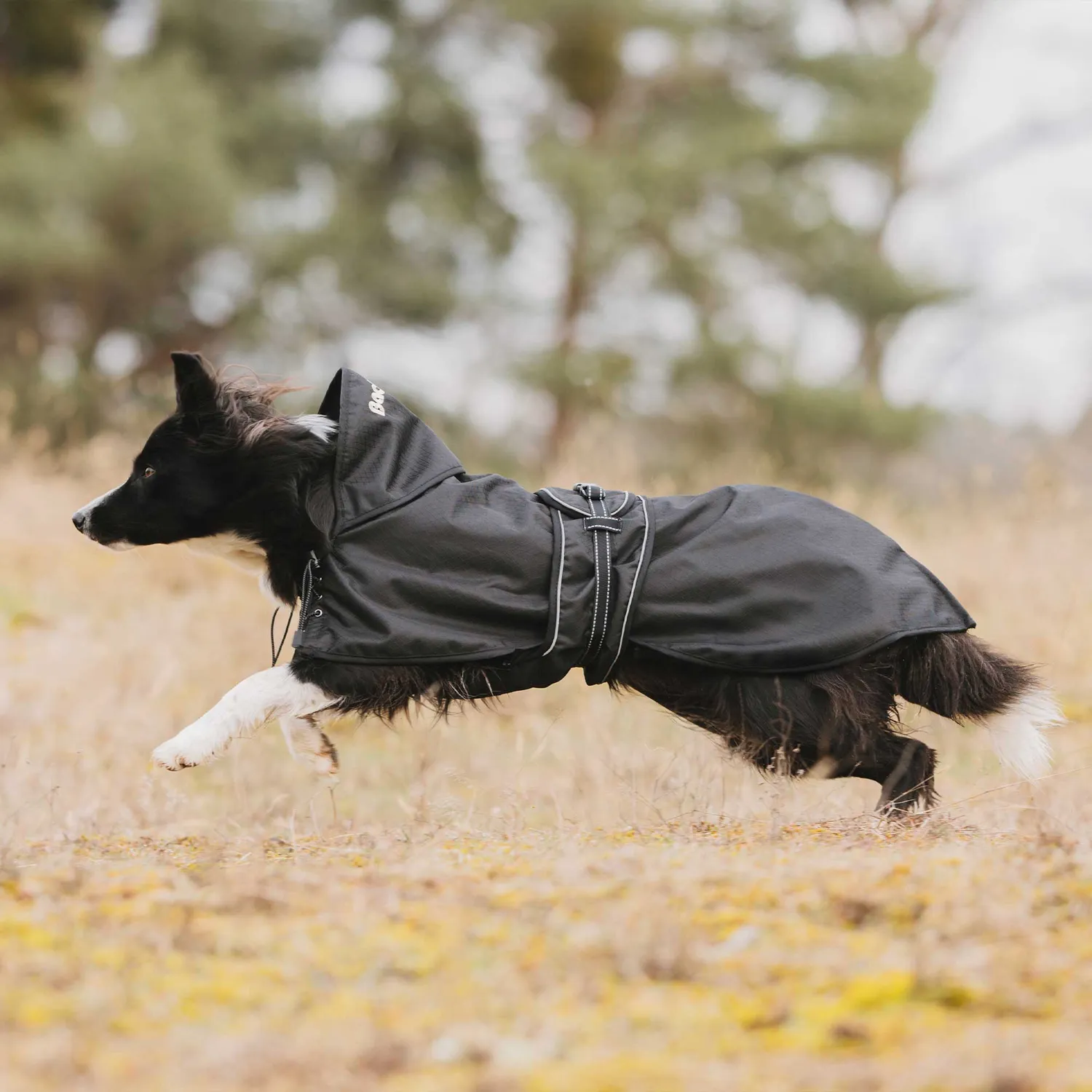 Back on Track manteau chien imperméable doublé noir 110g circulation