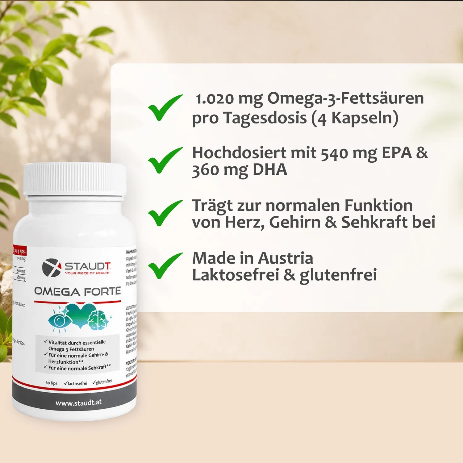 Staudt Omega Forte complément oméga capsules