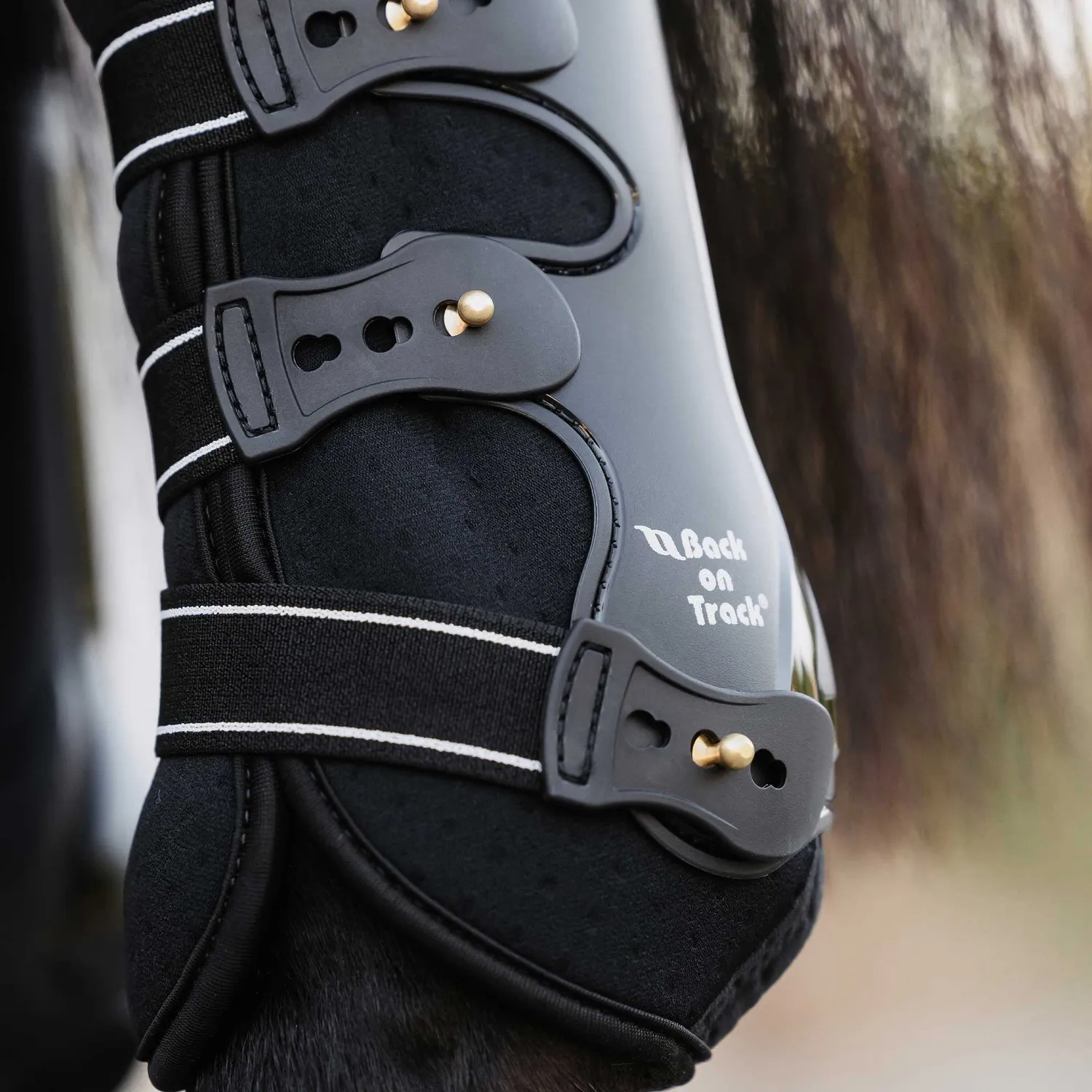Back on Track Royal Work Boots guêtres antérieurs noir M