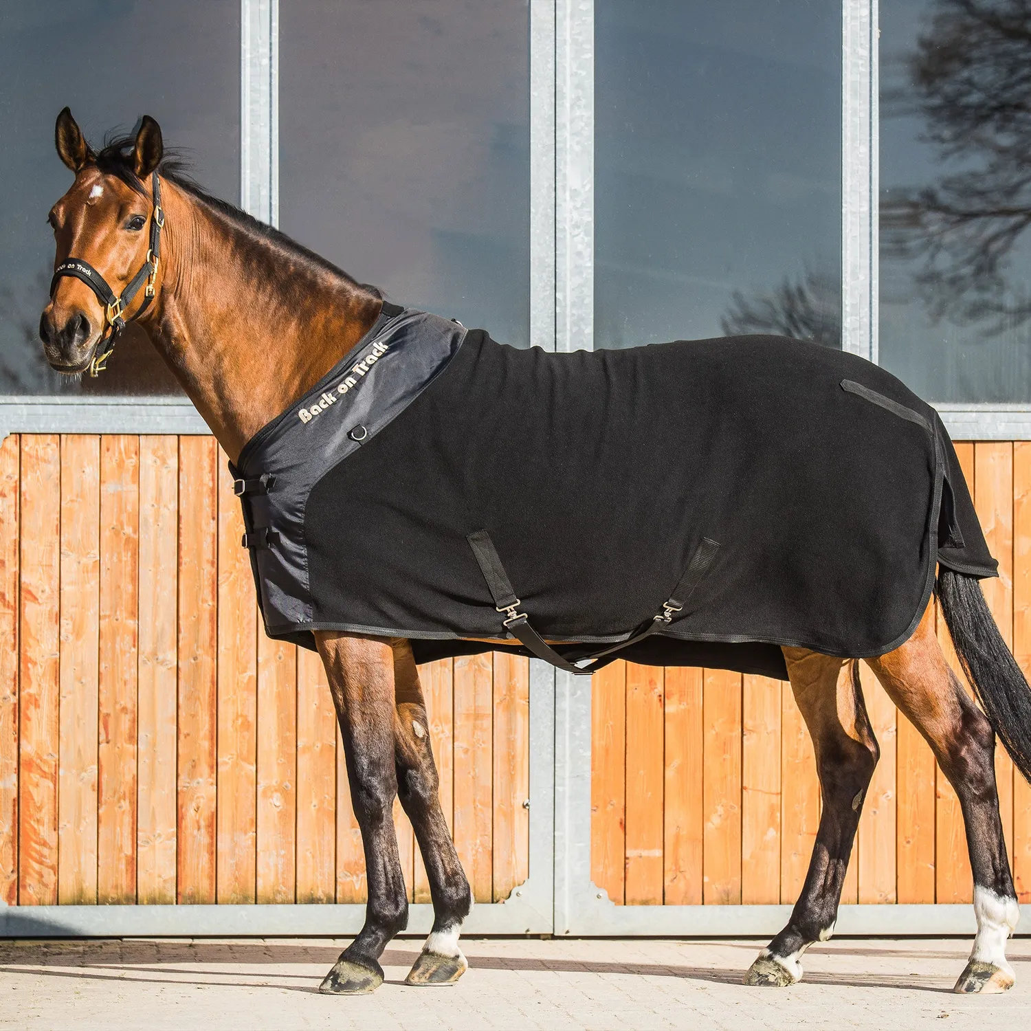 Back on Track Fleece Supreme couverture cheval noir séchante