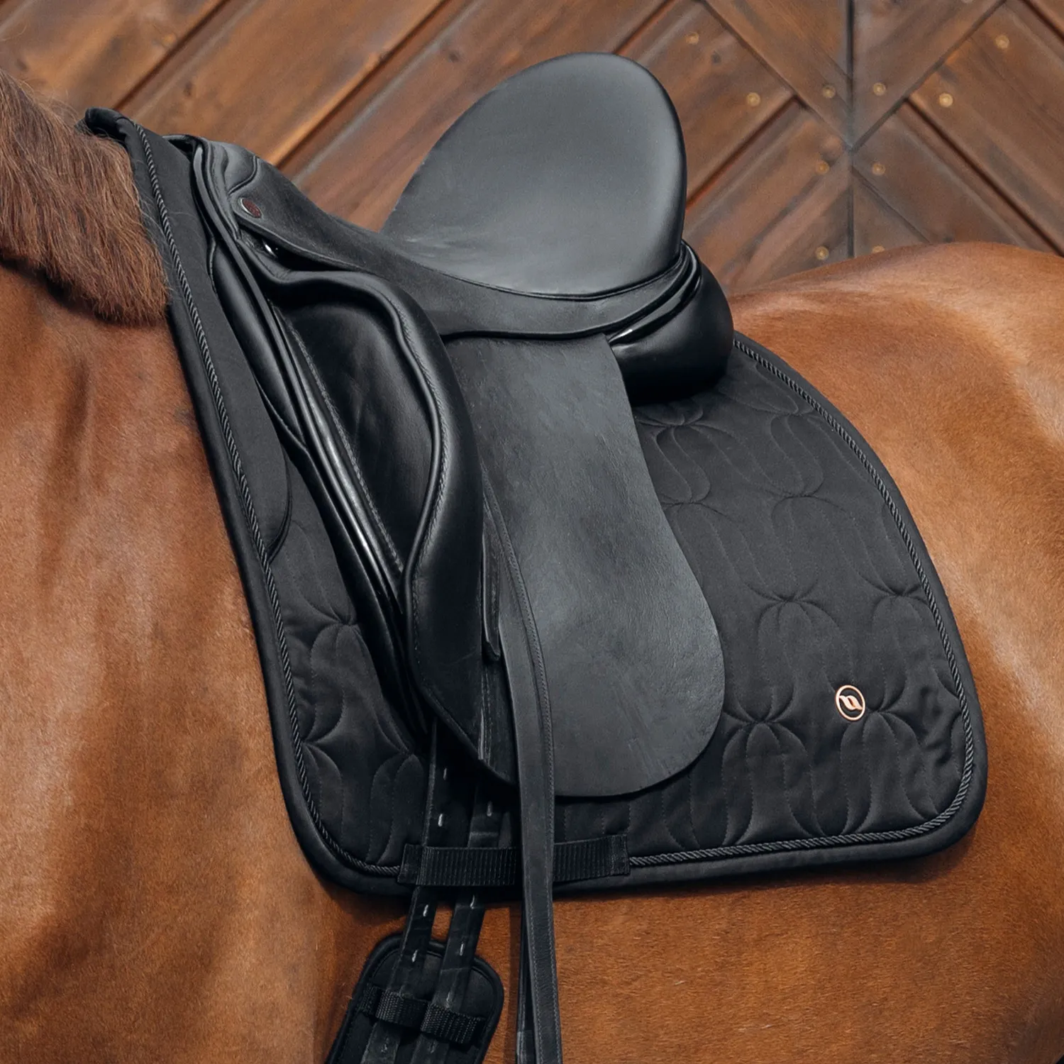 Back on Track Deep Nights tapis selle dressage noir Welltex