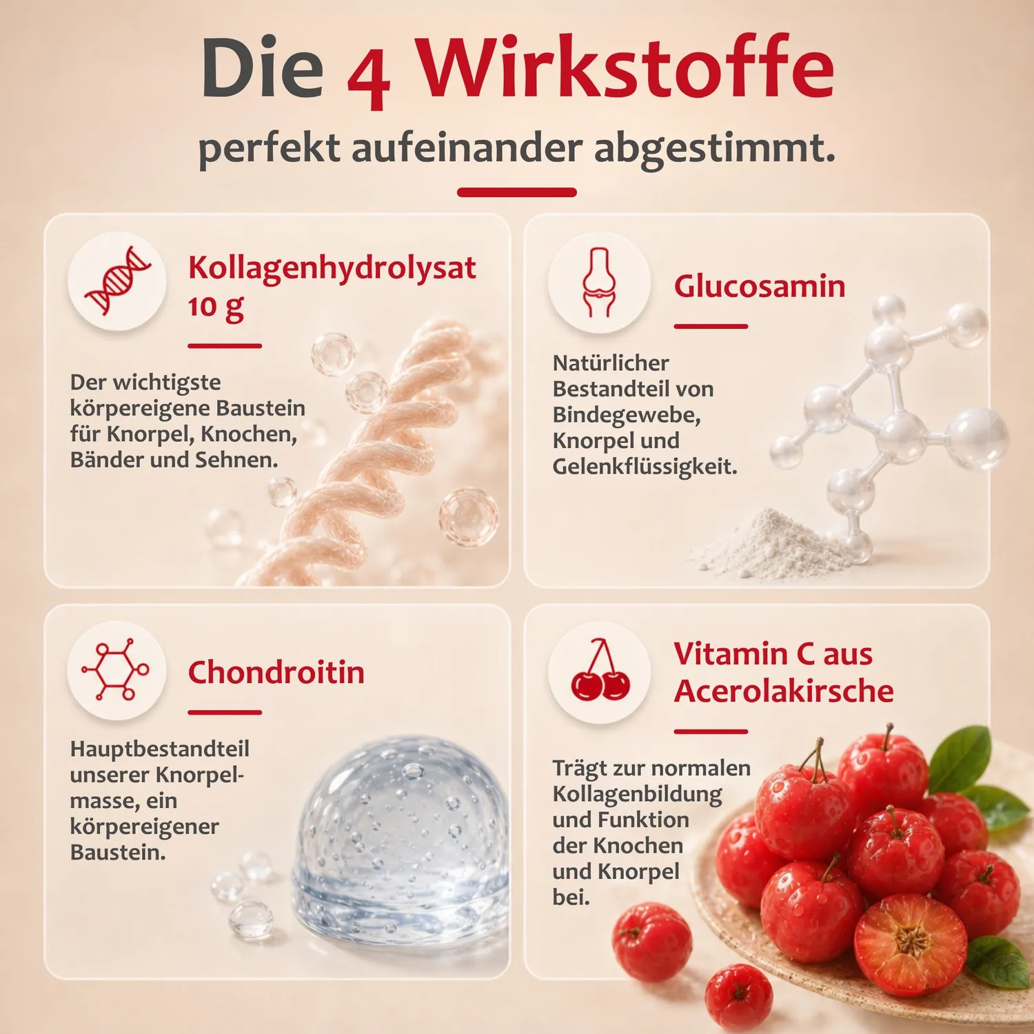 Staudt Collagen Drink boisson collagène