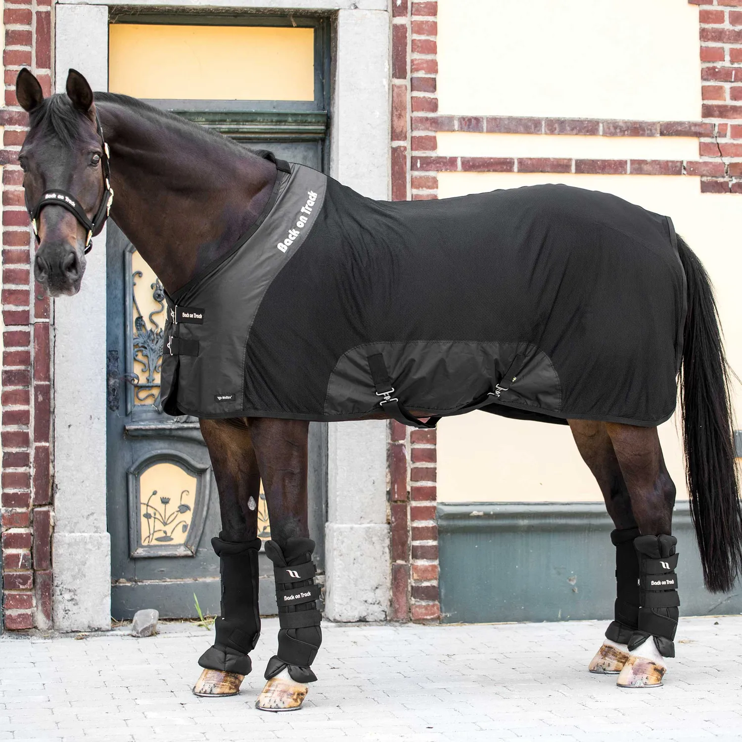 Back on Track Royal Deluxe chemise cheval bleu maille
