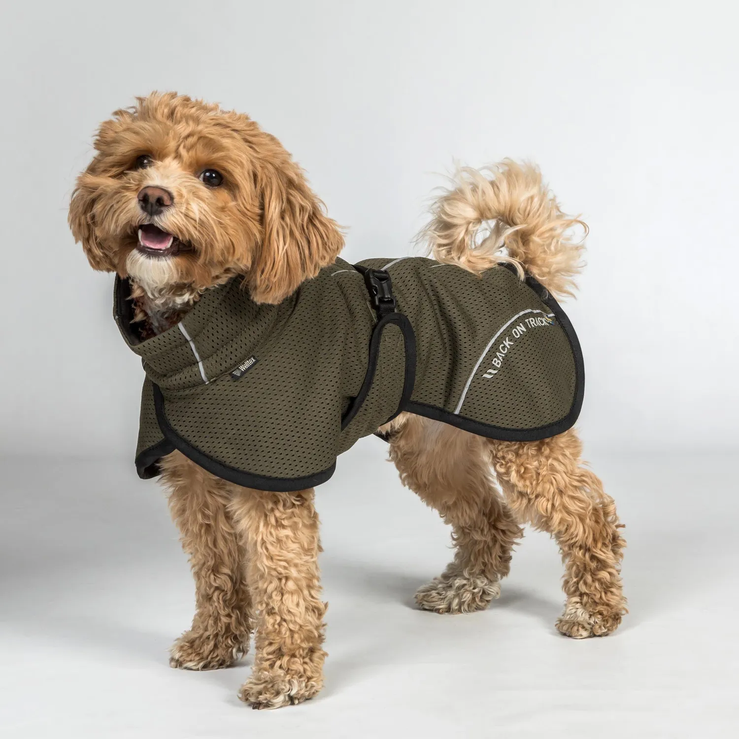 Back on Track Bay manteau chien mesh noir queue haute