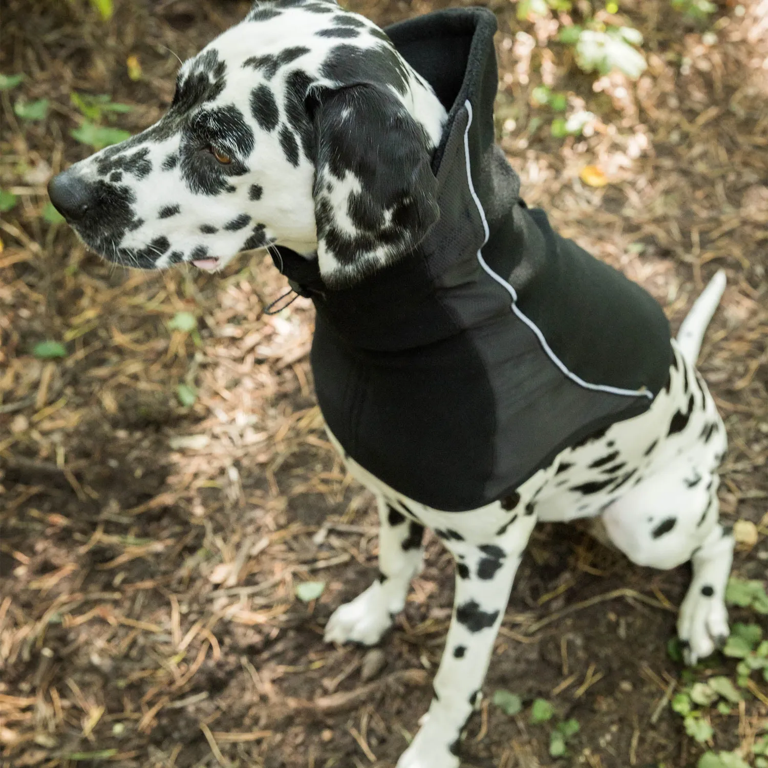 Back on Track Benji cache-cou chien noir chaud