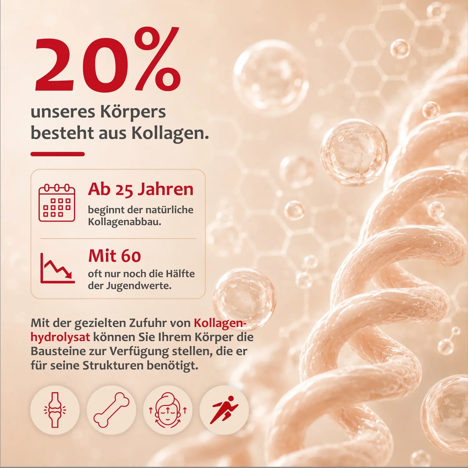 Staudt Collagen Drink boisson collagène