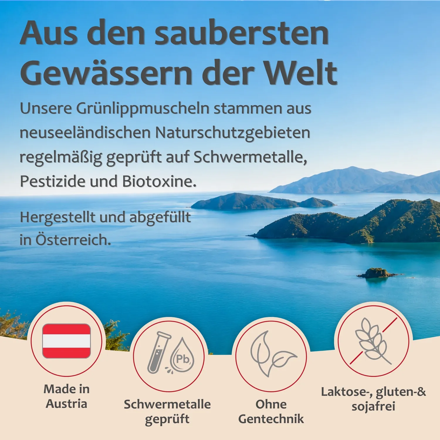 Staudt Täglich Beweglich gélules mobilité 90