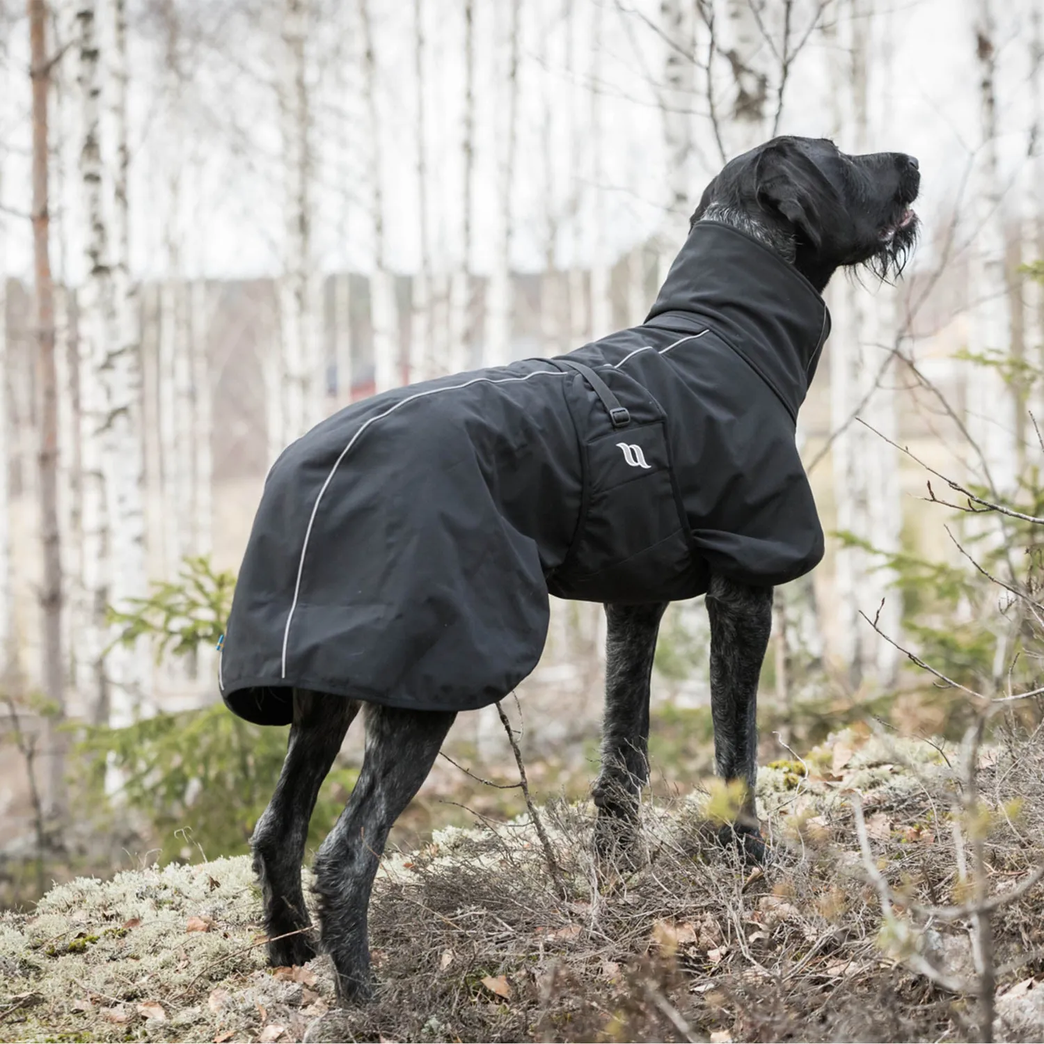 Back on Track Nella All Weather Dog Coat manteau chien noir