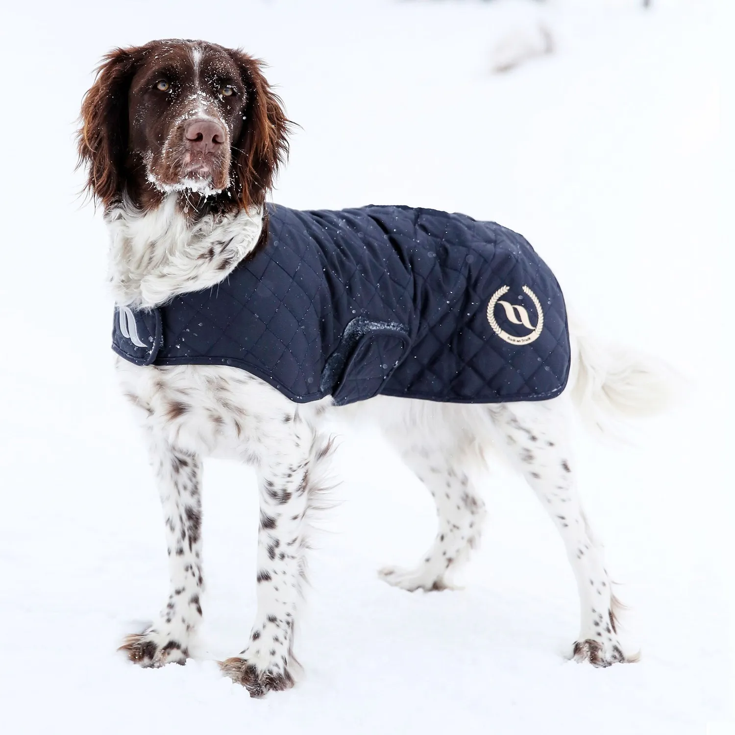 Back on Track Nights manteau chien matelassé bleu Welltex 40cm