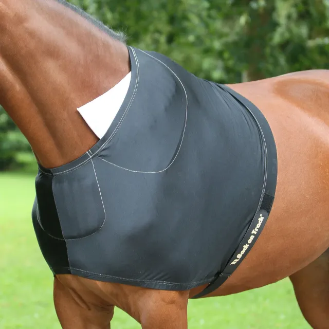 Back on Track Shoulder Guard protège-épaules cheval noir 145