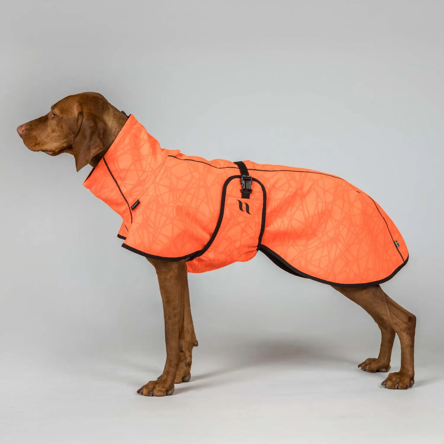 Back on Track Bark manteau chien softshell orange queue basse