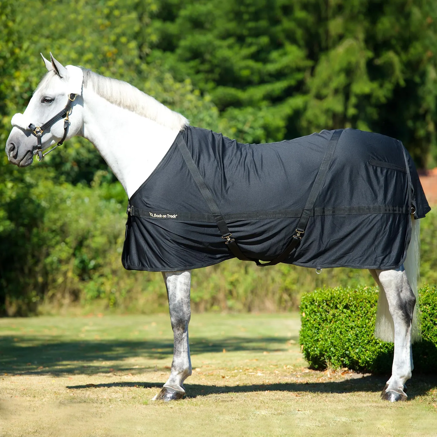 Back on Track Mia chemise maille cheval noire