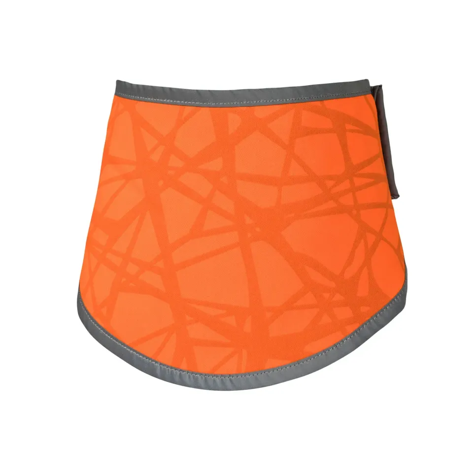 Back on Track Draco bandana chien haute visibilité orange Iontex