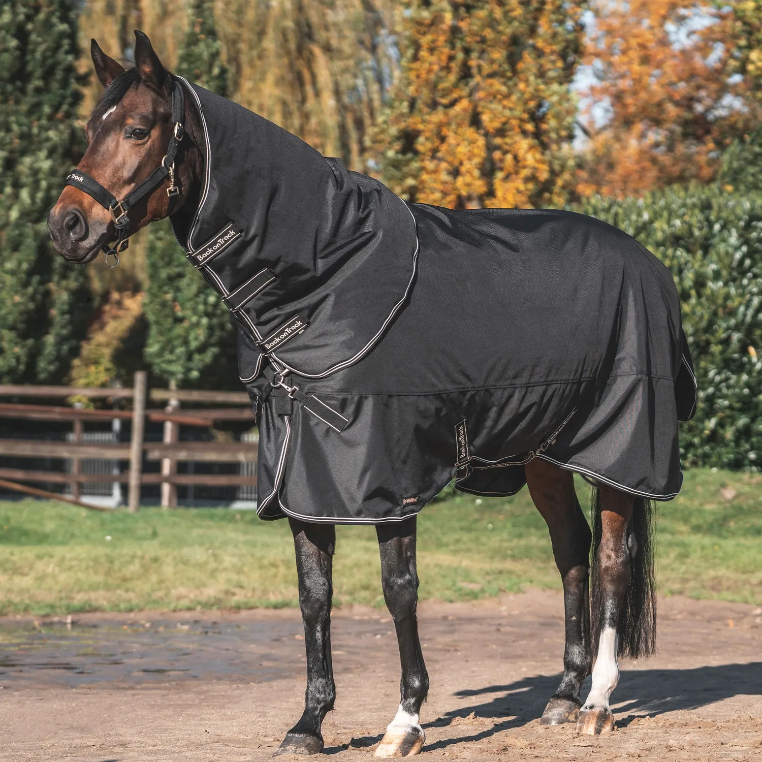 Back on Track Obsidian couverture turnout cheval noir 300g