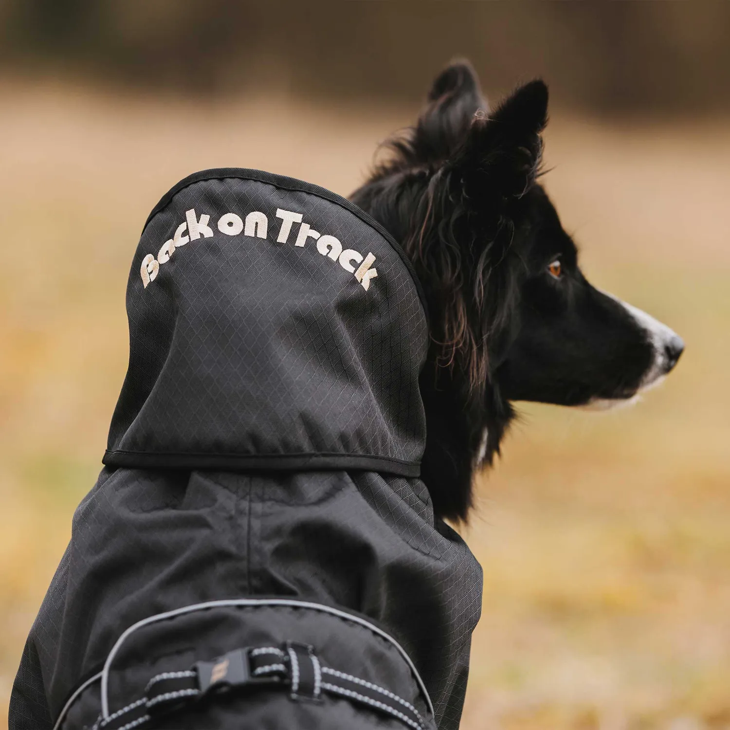 Back on Track manteau chien imperméable doublé noir 110g circulation