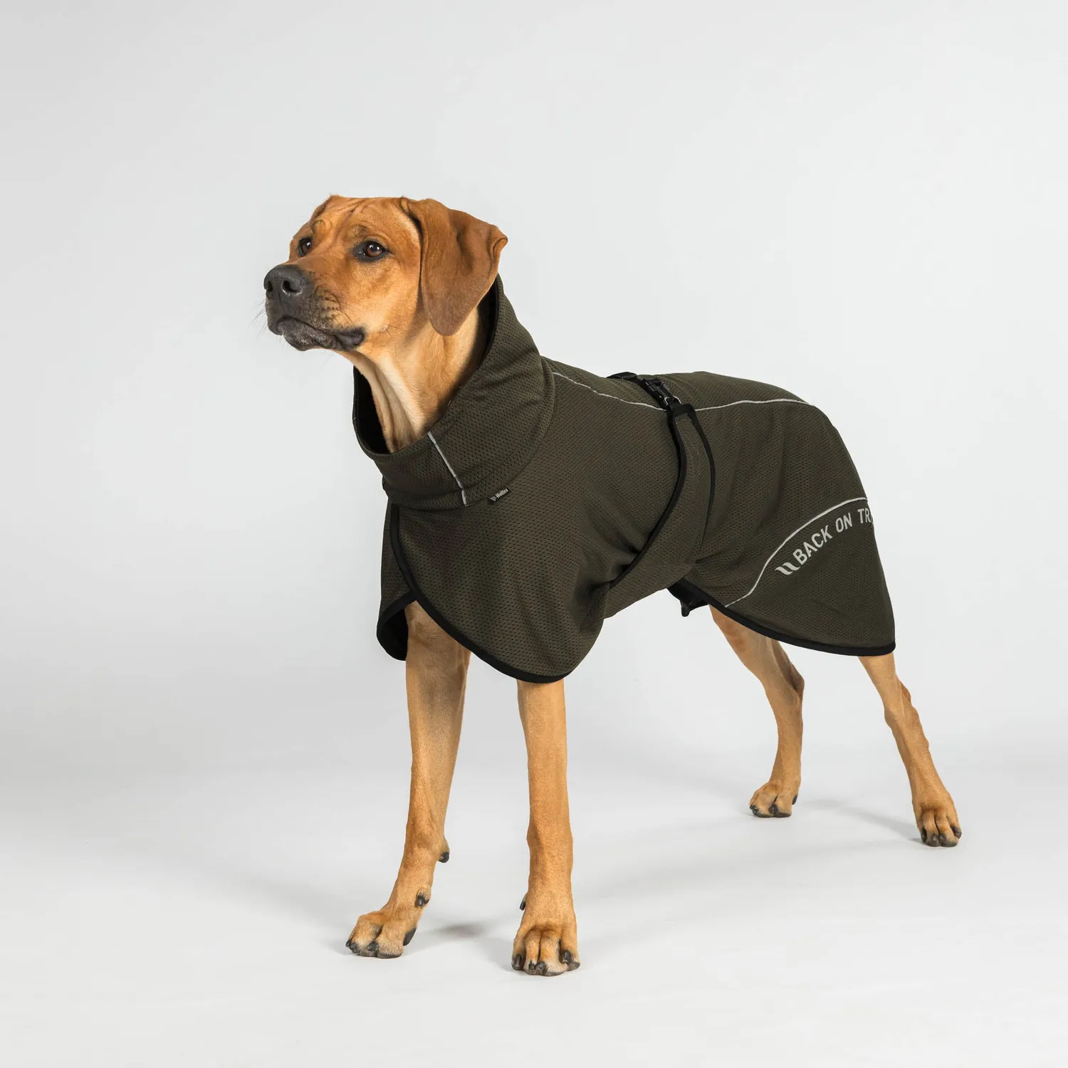 Back on Track Bay Mesh manteau chien noir 50 respirant