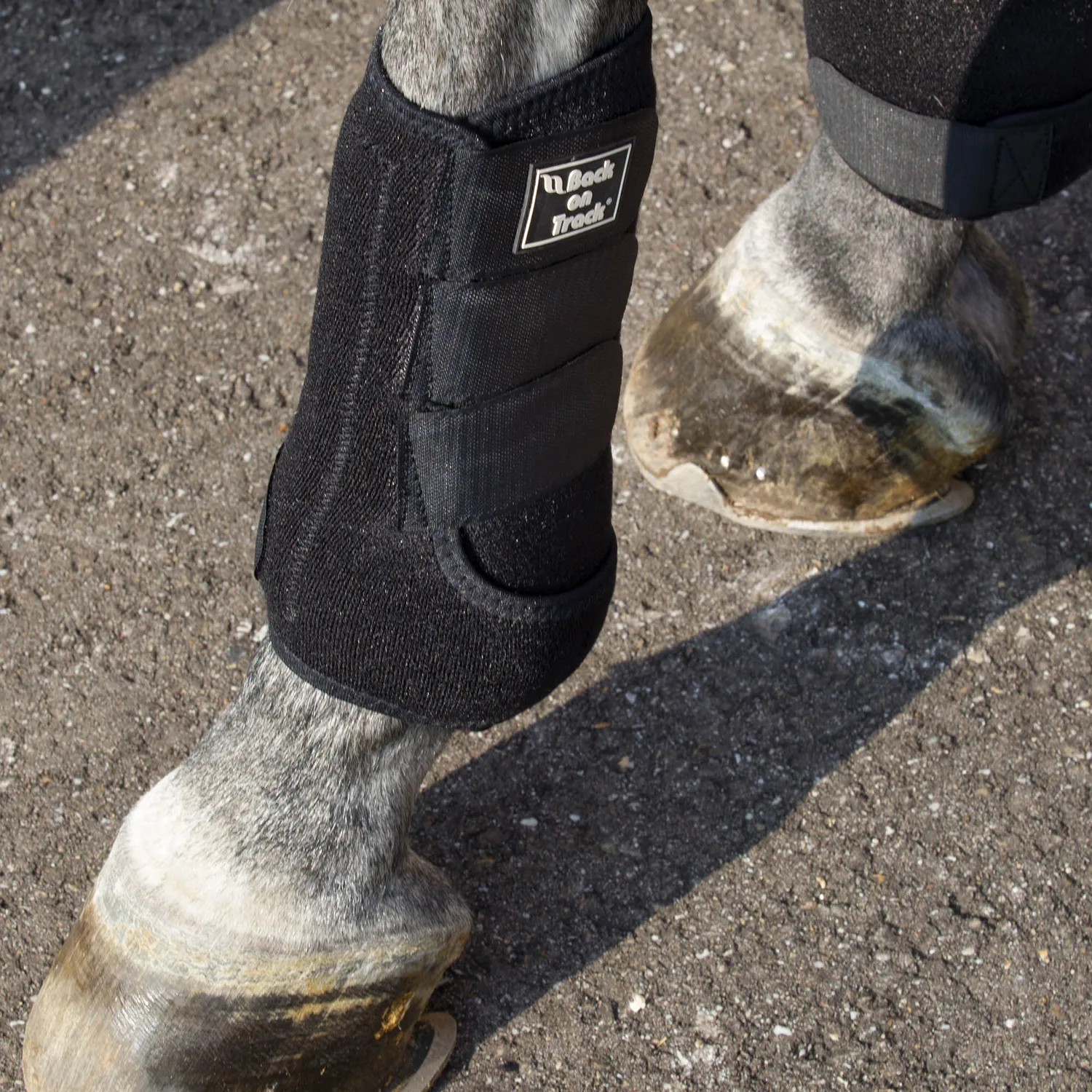 Back on Track Royal guêtres exercice noires S tendon