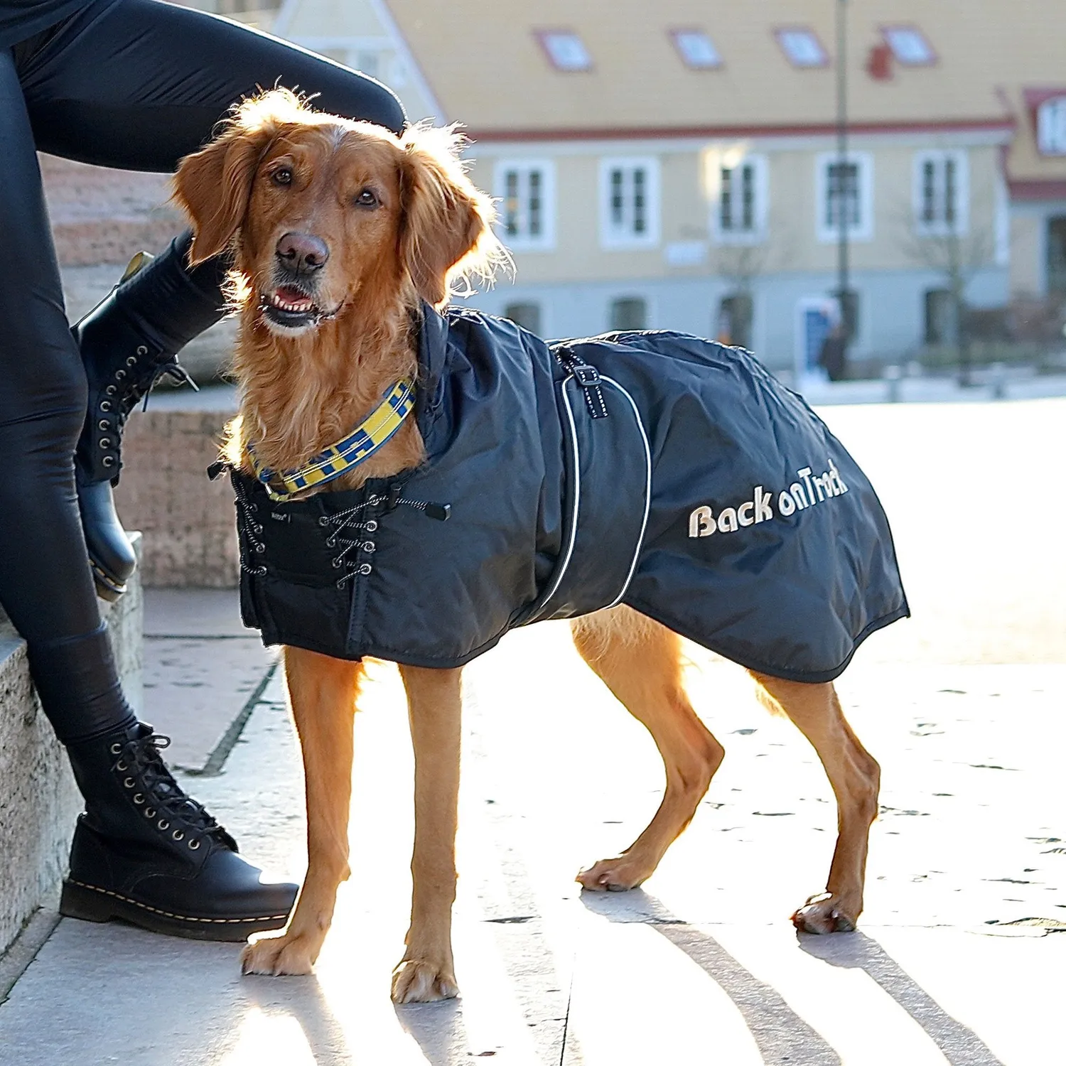 Back on Track Standard manteau chien imperméable réfléchissant