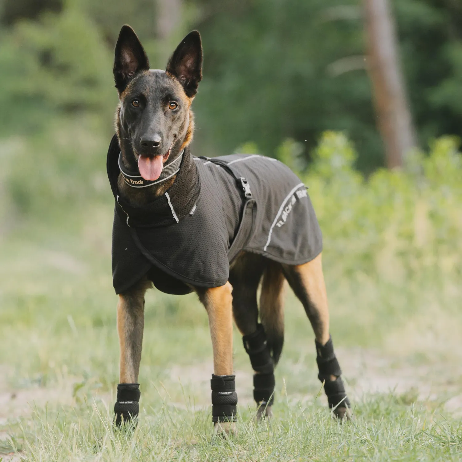 Back on Track Bay Mesh manteau chien noir 50 respirant