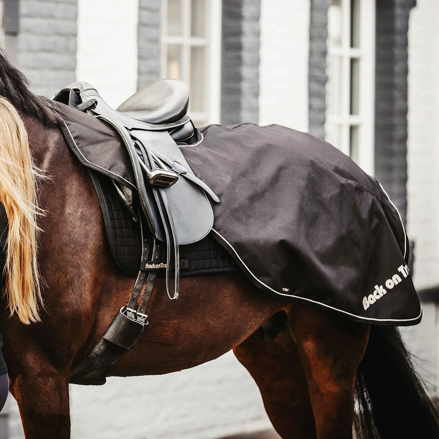 Back on Track Sammy couvre-reins cheval bleu 145 cm
