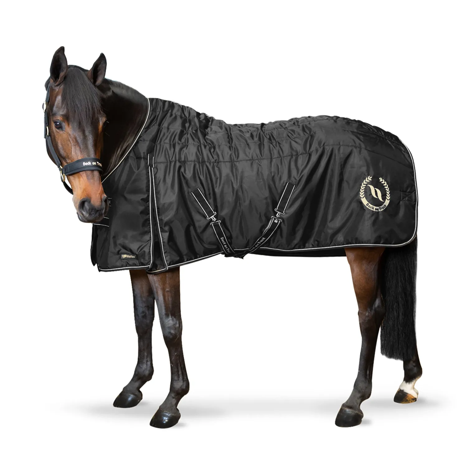 Back on Track Millie couverture box 100g noire 145 cm