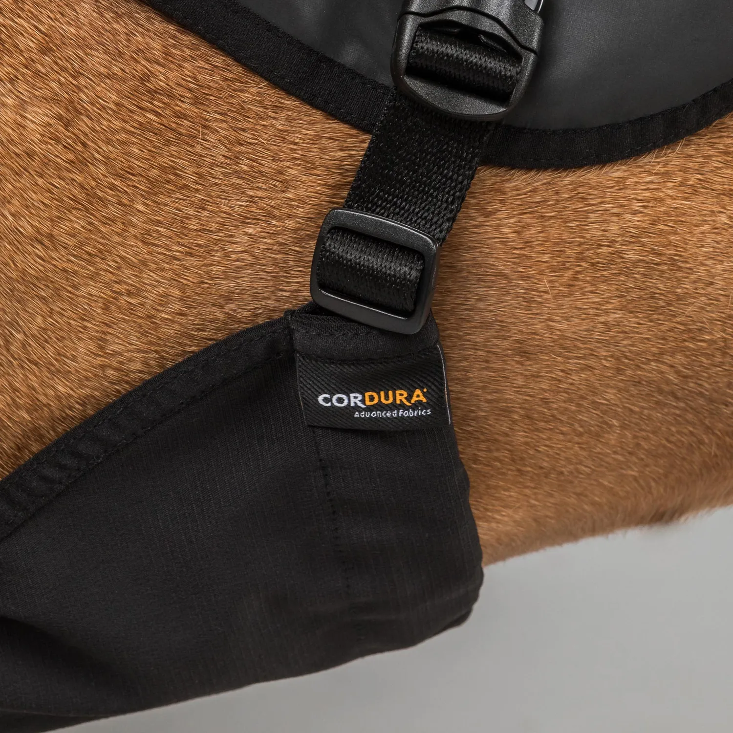 Back on Track TRAKK 2.0 gilet chien chasse orange M réfléchissant
