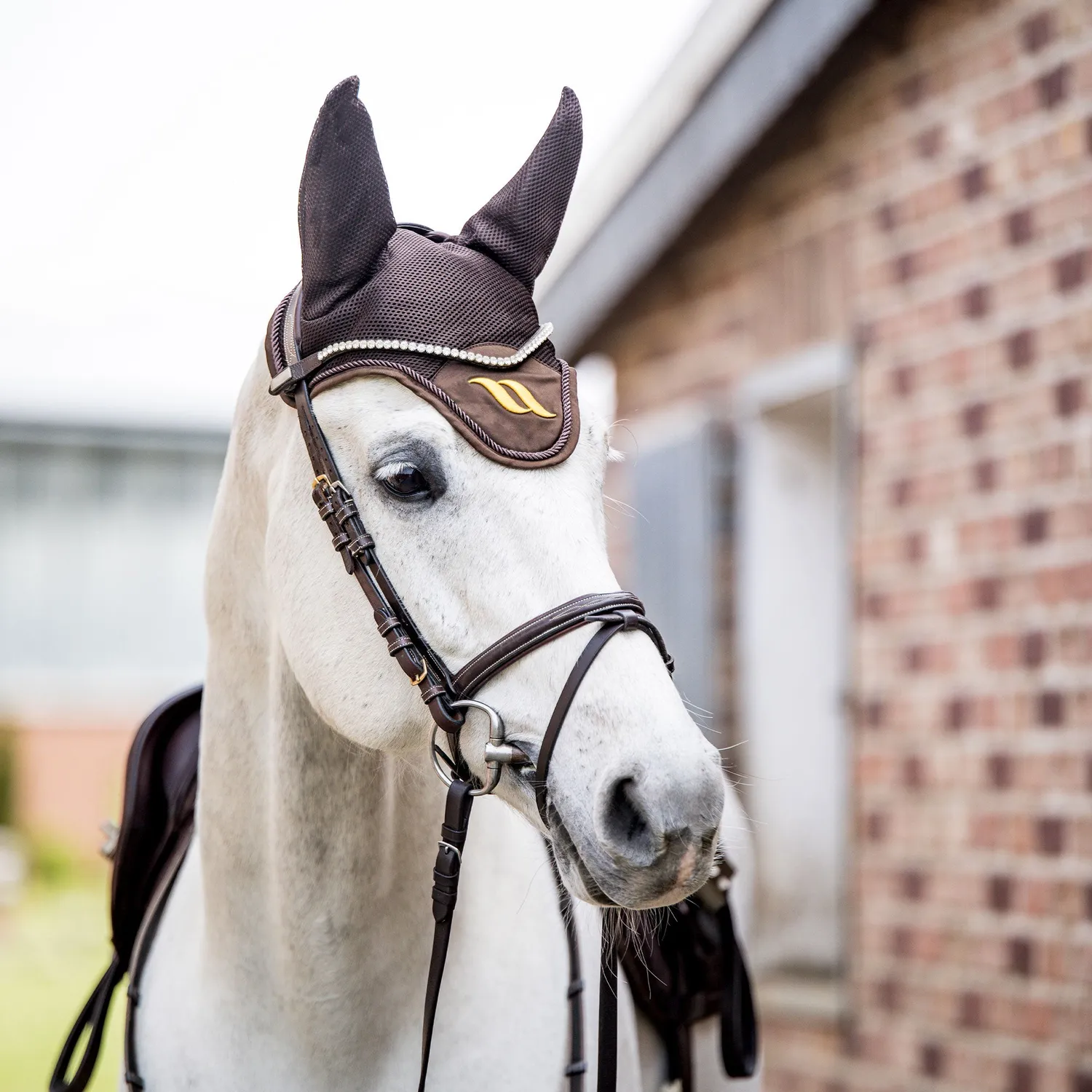Back on Track Airflow bonnet cheval noir Full aéré