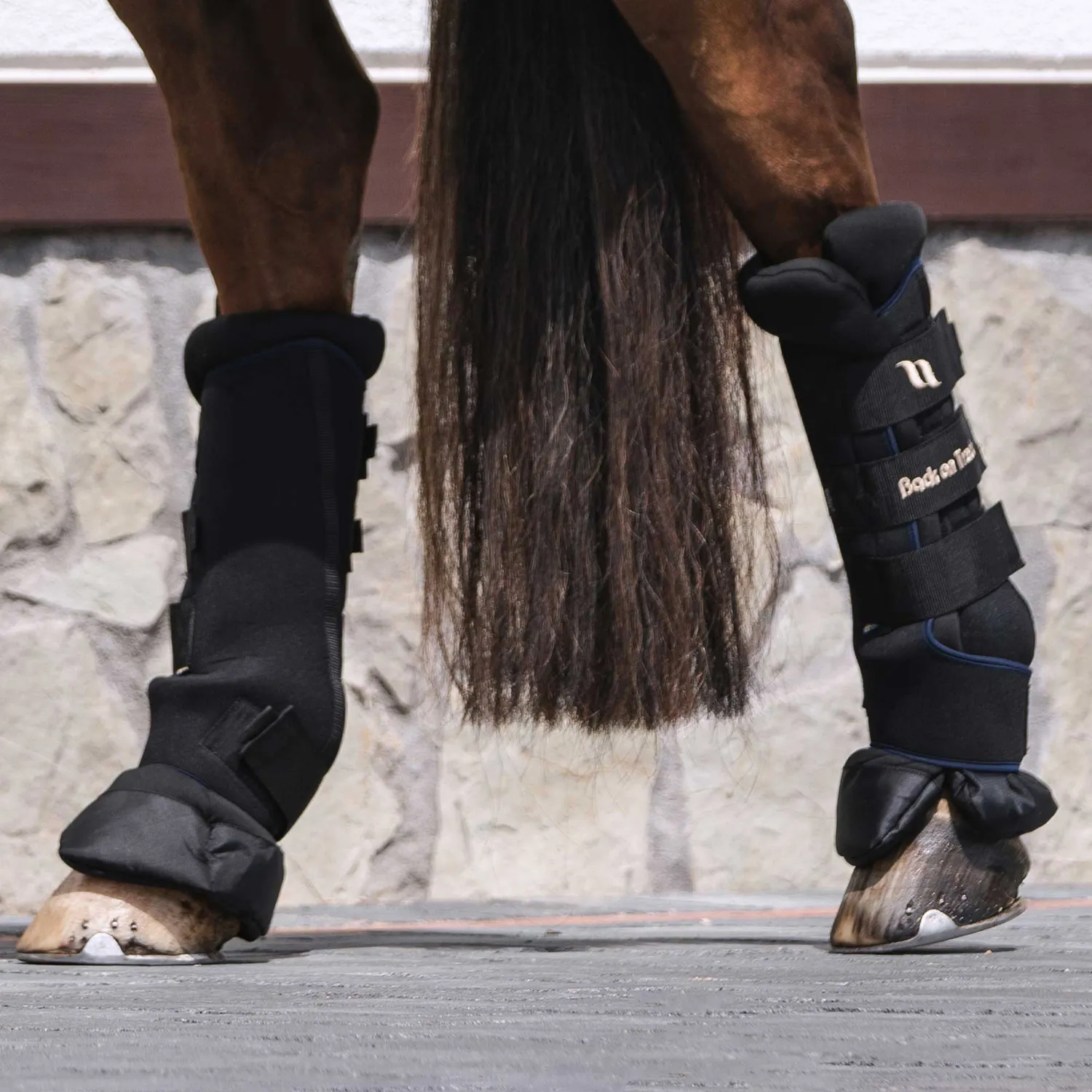 Back on Track Royal Quick Wraps Deluxe guêtres repos noir S