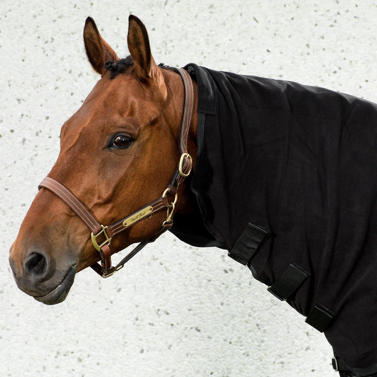 Back on Track Couvre-cou polaire cheval noir 165 cm Welltex