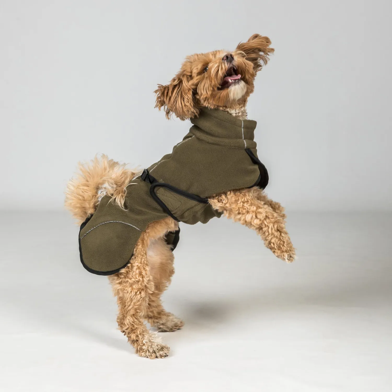 Back on Track Bay manteau polaire chien noir 50 queue haute