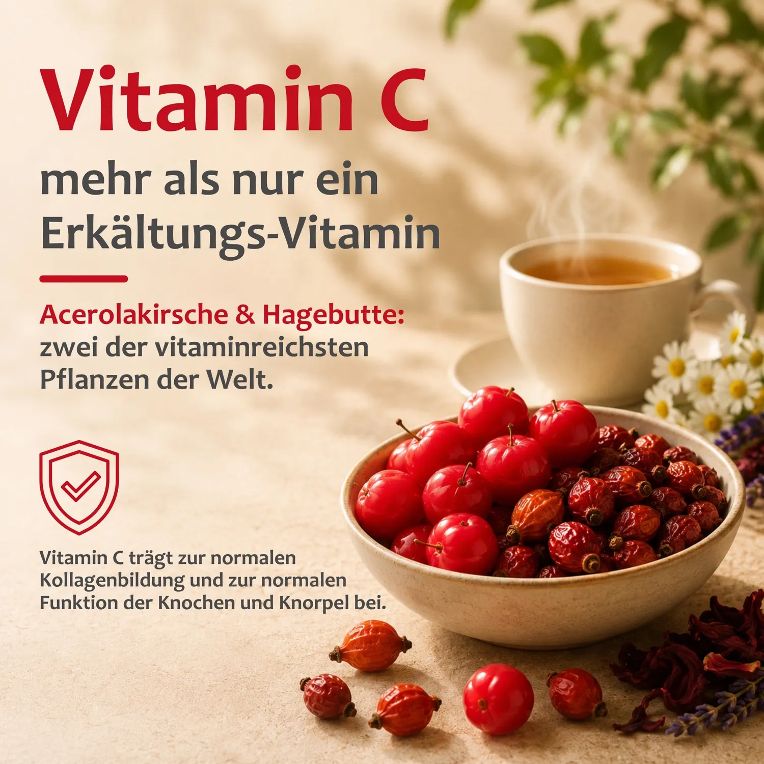 Staudt Fit-Tee thé infusion forme
