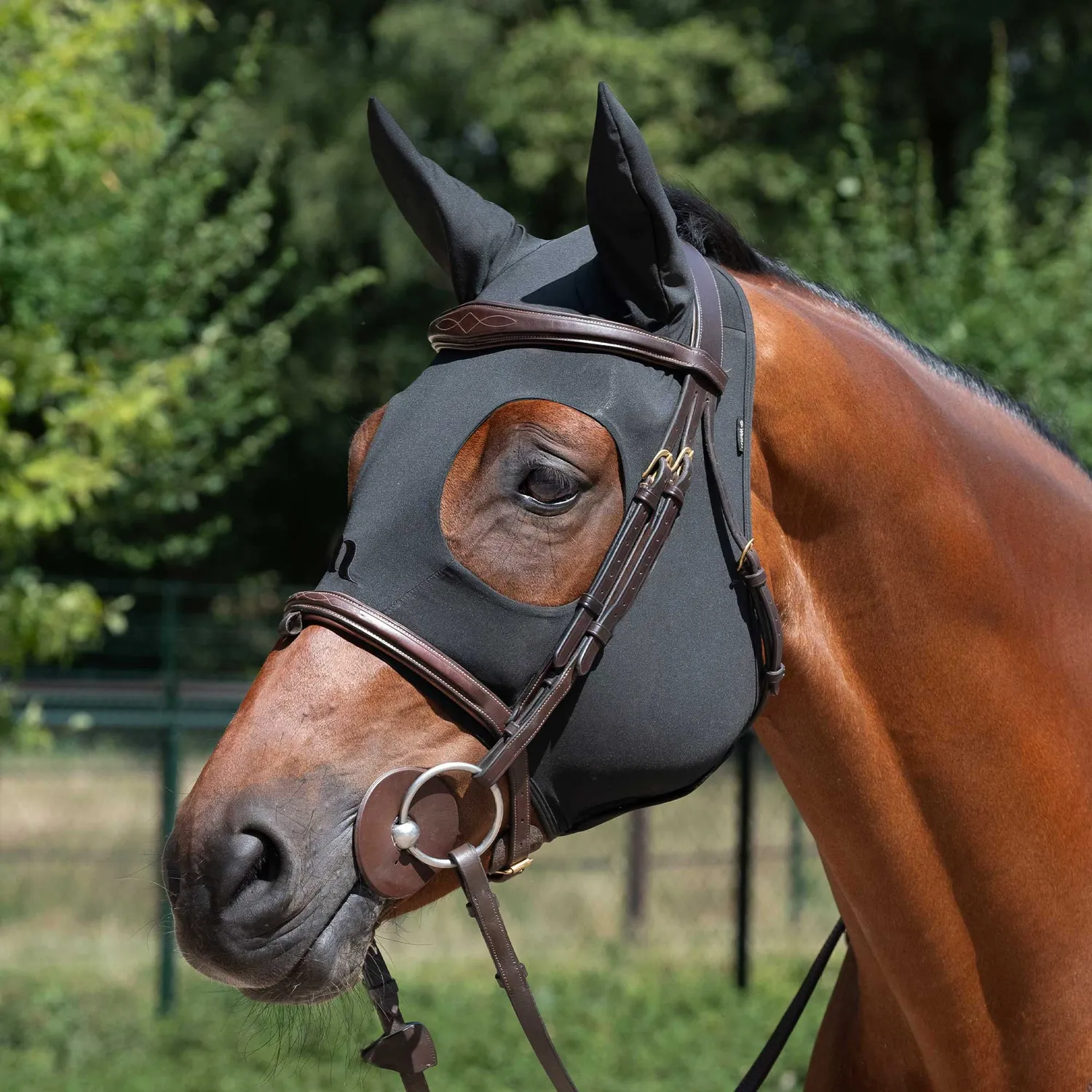 Back on Track Spirit bonnet apaisant cheval noir Cob Full