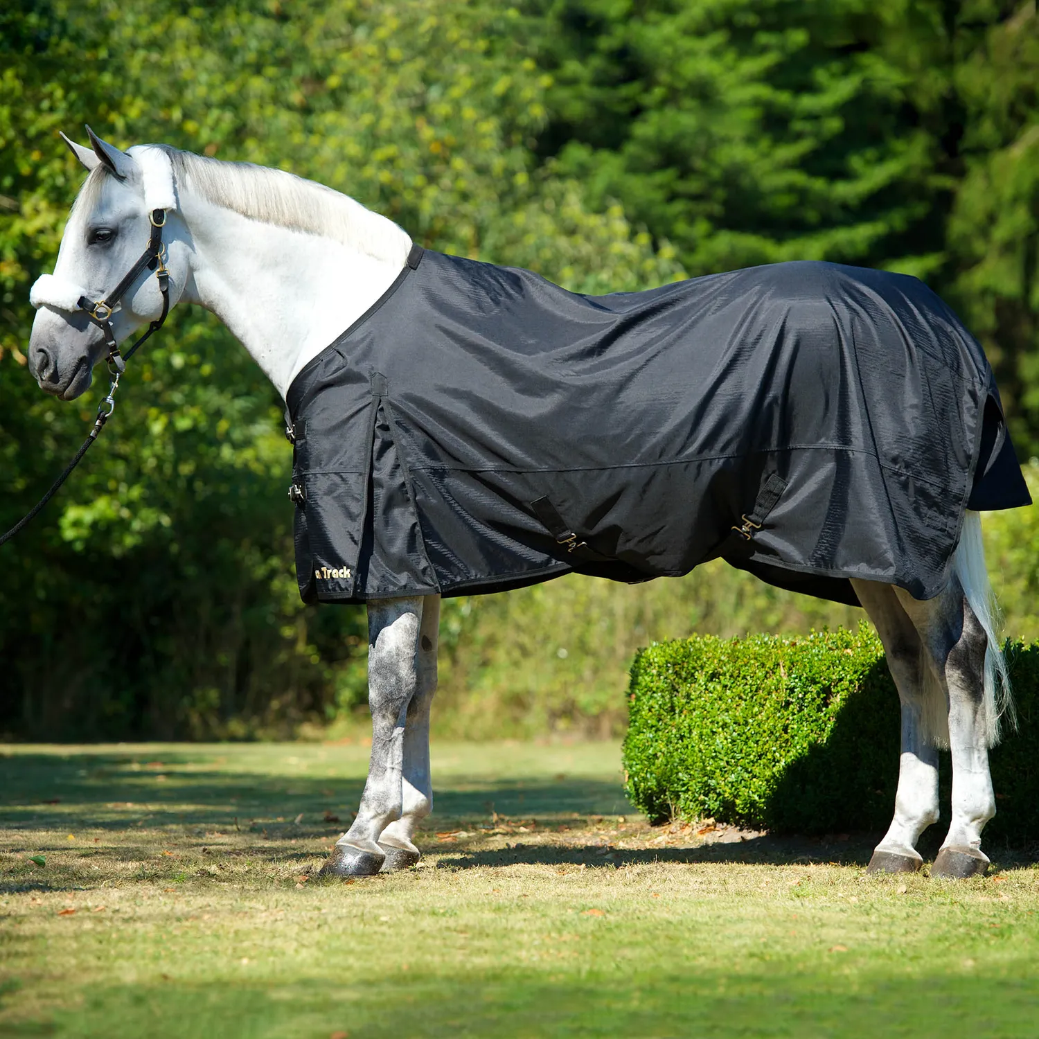 Back on Track Rain Rug 1680D couverture cheval noir 135 cm