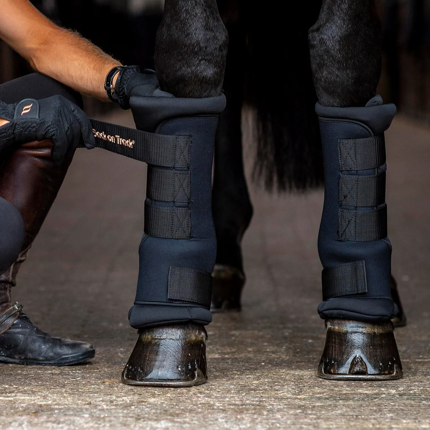 Back on Track Royal Quick Wraps guêtres cheval noir