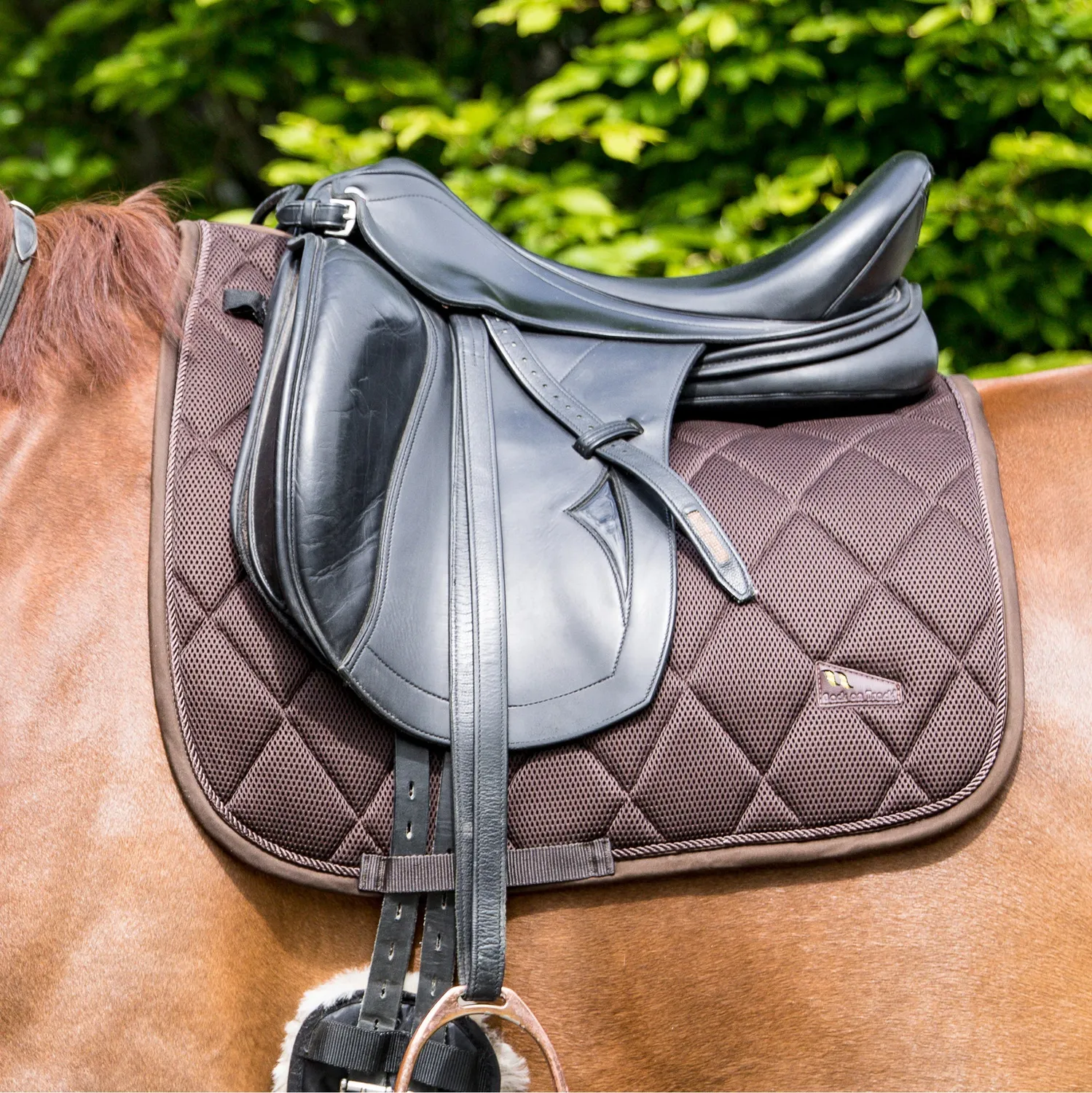 Back on Track Airflow tapis dressage blanc Full