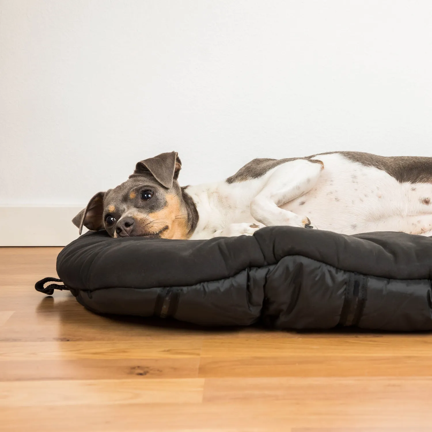 Back on Track Oval matelas chien voyage antidérapant